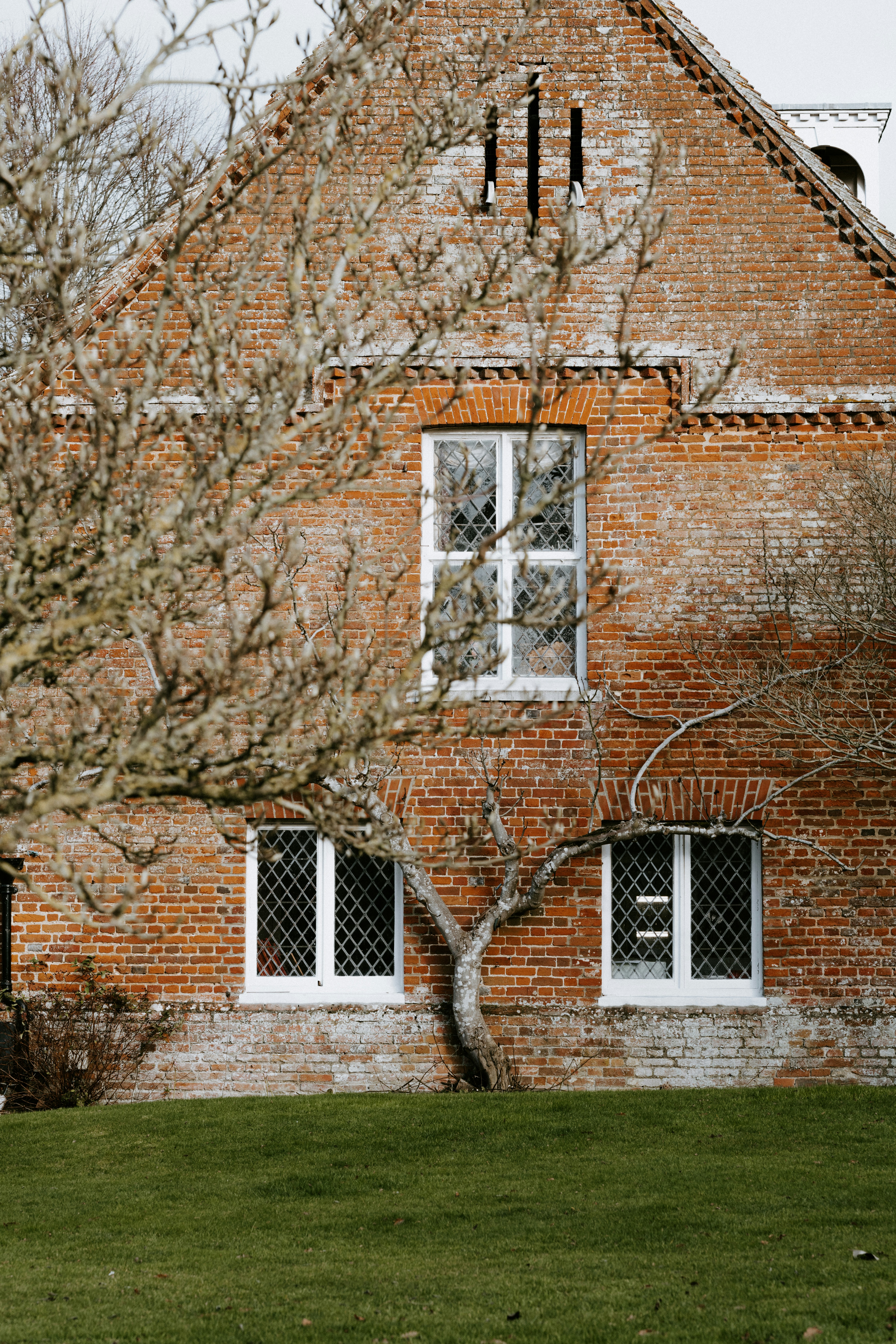 Photo by anniespratt