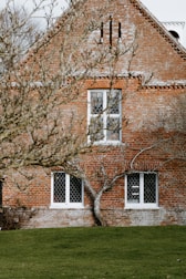 bare tree in front of concrete house