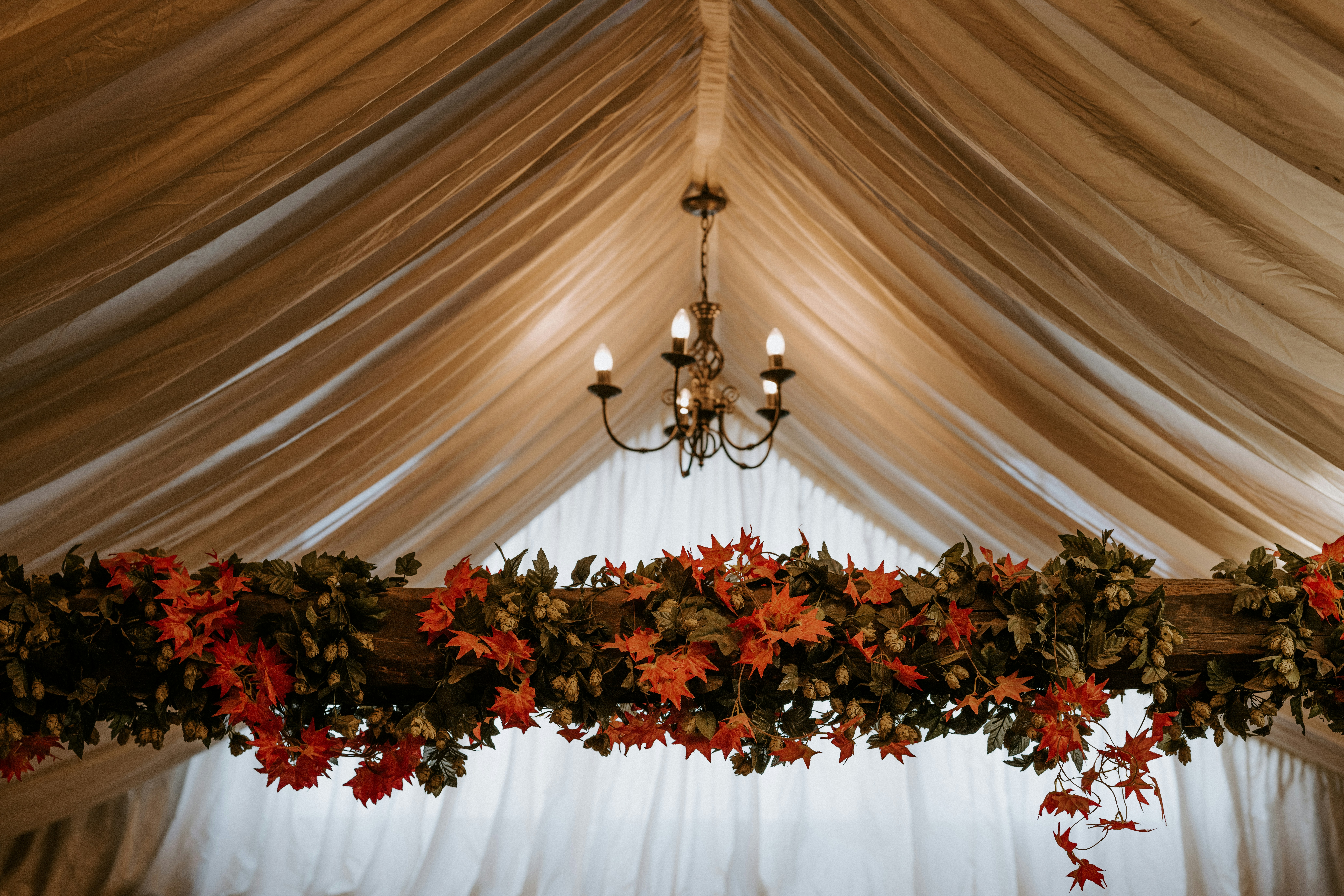 Photo by anniespratt