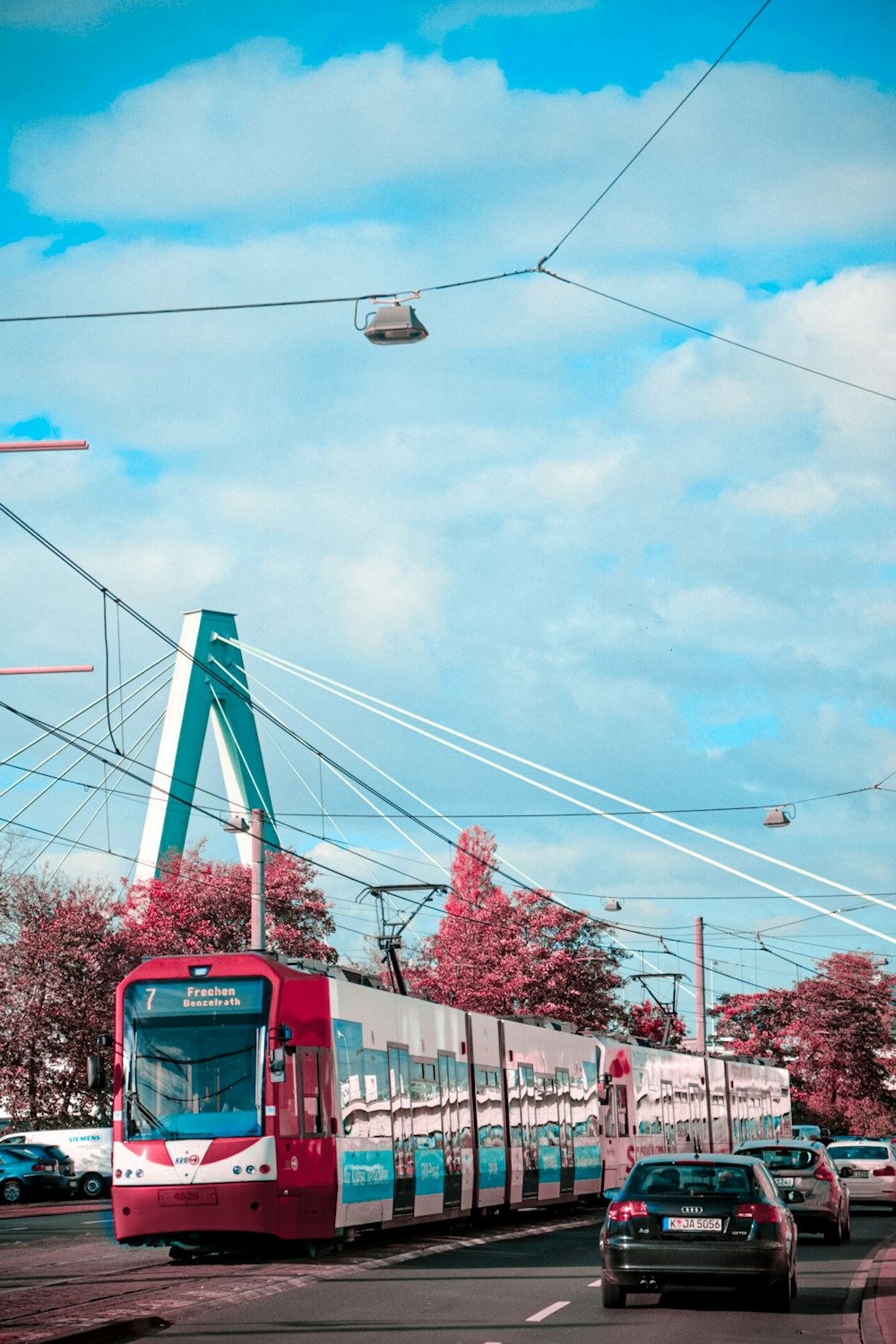 red and white bus on road