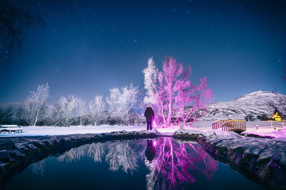 person standing near bridge and body of water during winter