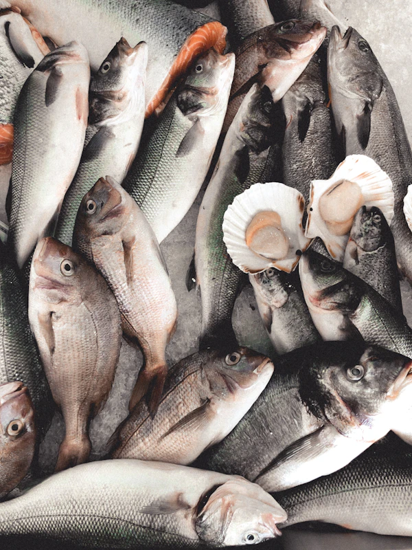 Whole fish on ice