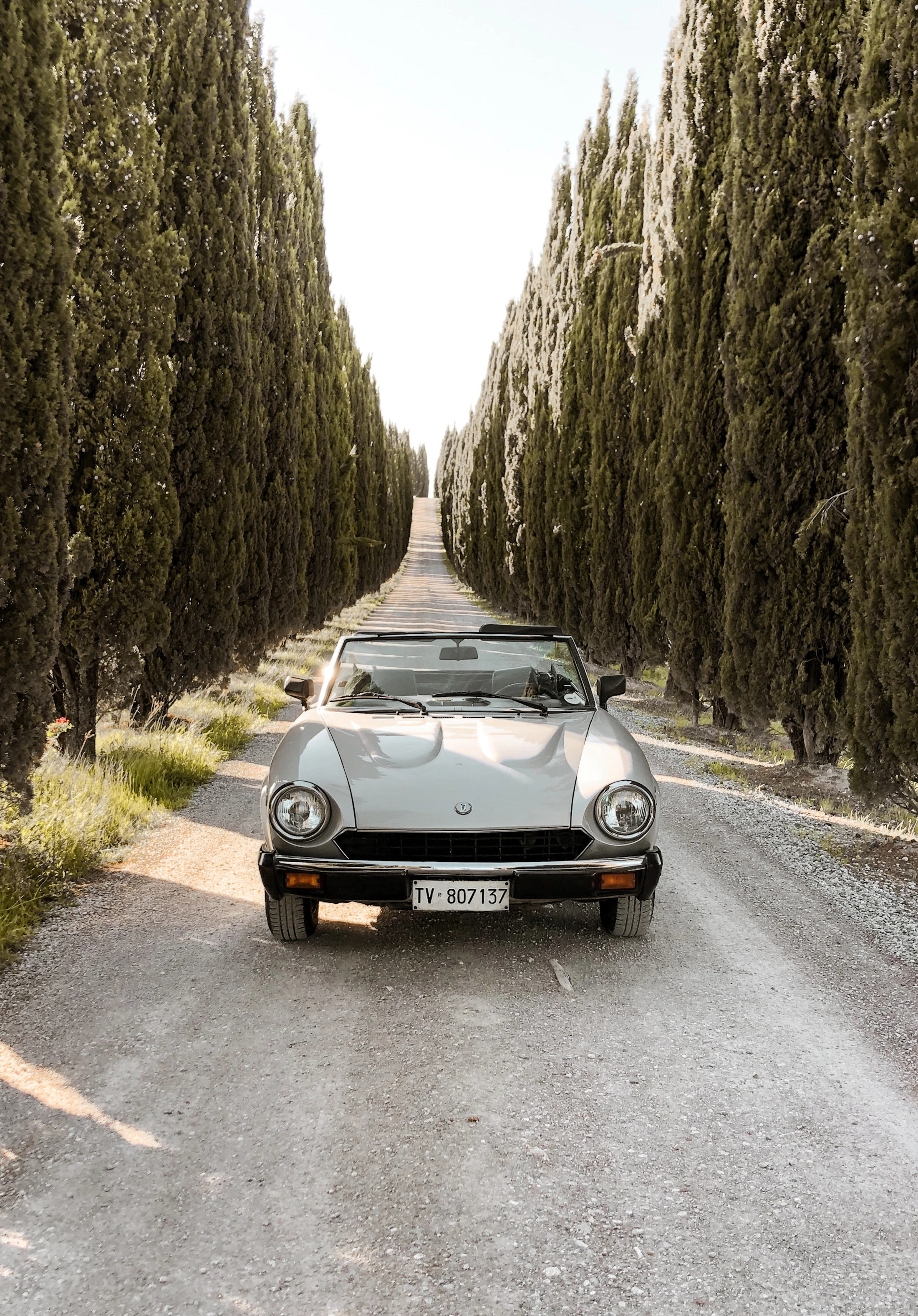 Cypress-lined road through the Tuscan hills at golden hour