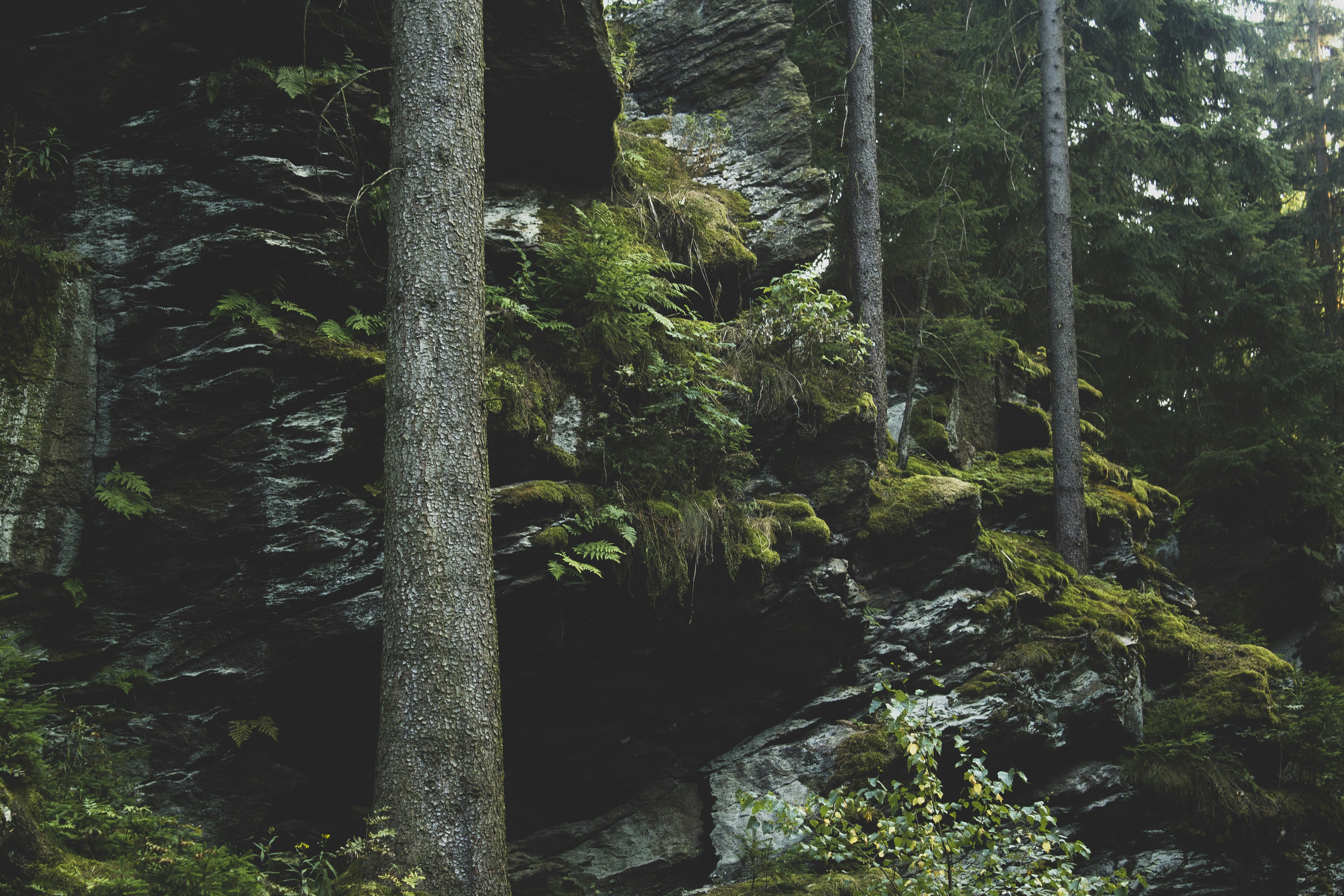 Photo by photographybyniels