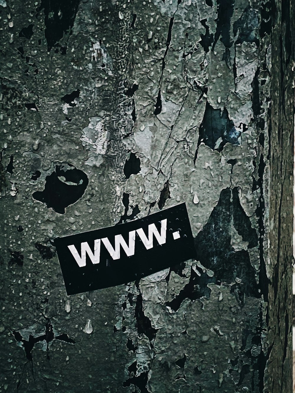 World Wide Web logo