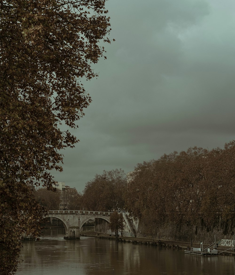 white concrete bridge photograph