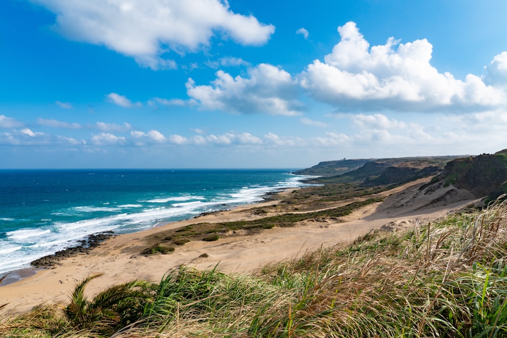 grass field near seashore