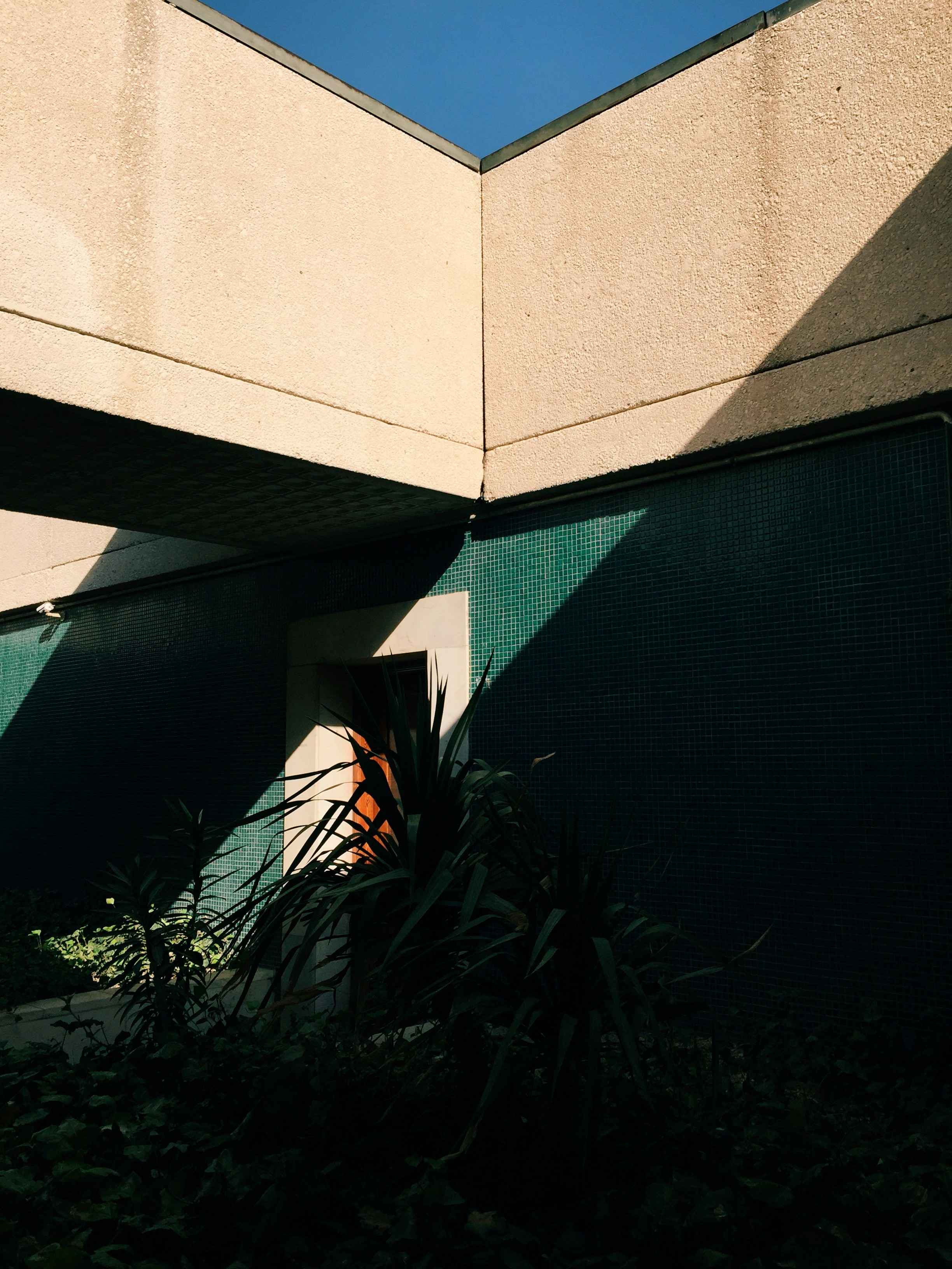 Photo by roozbeheslami