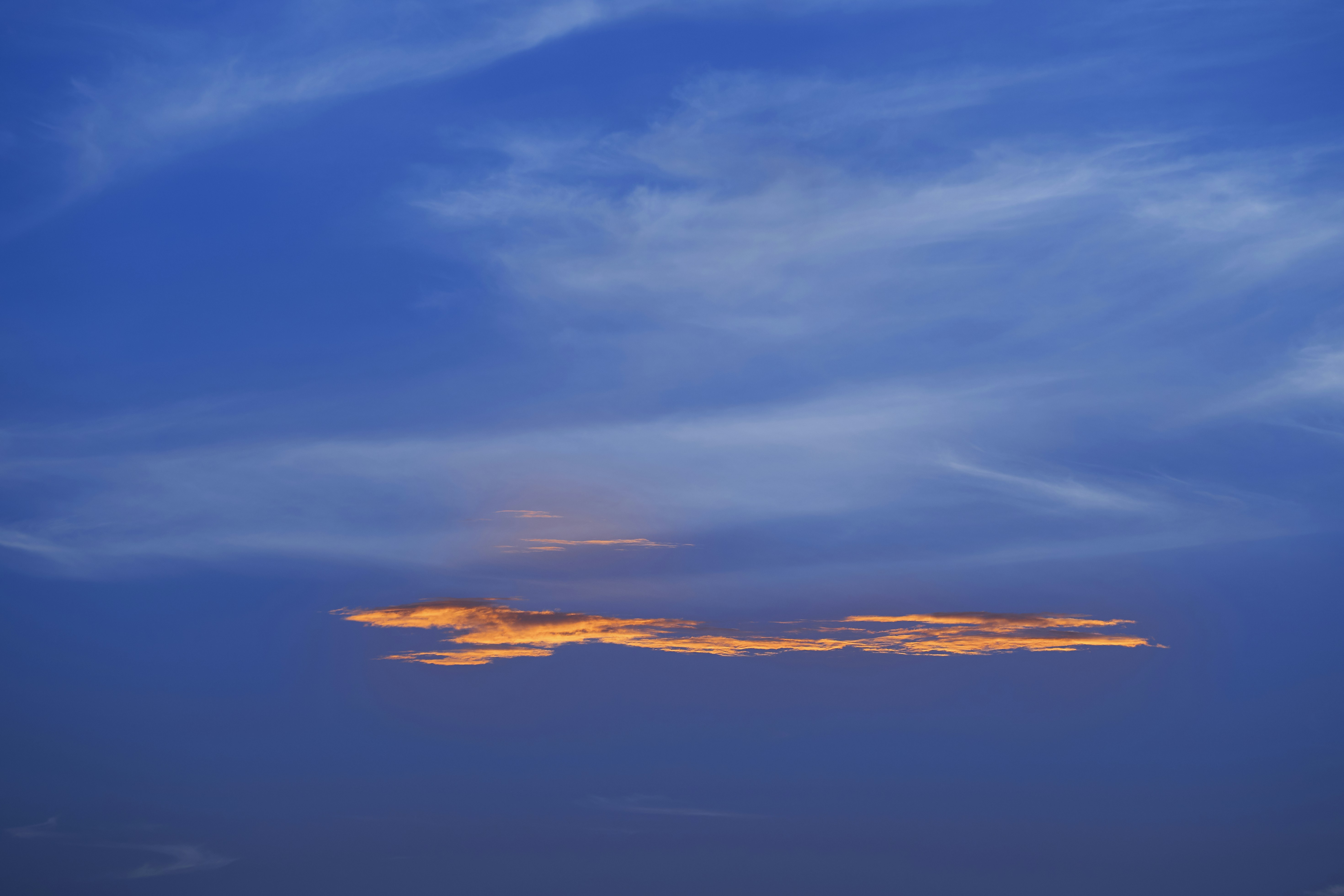 Photo by wolfgang_hasselmann