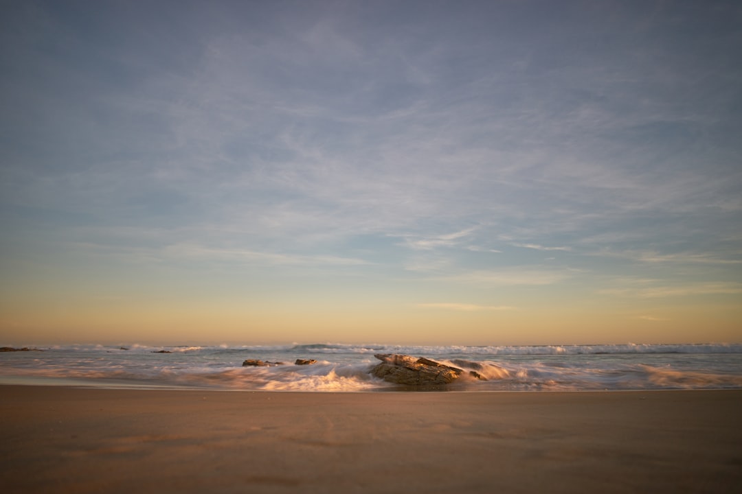 seashore during day