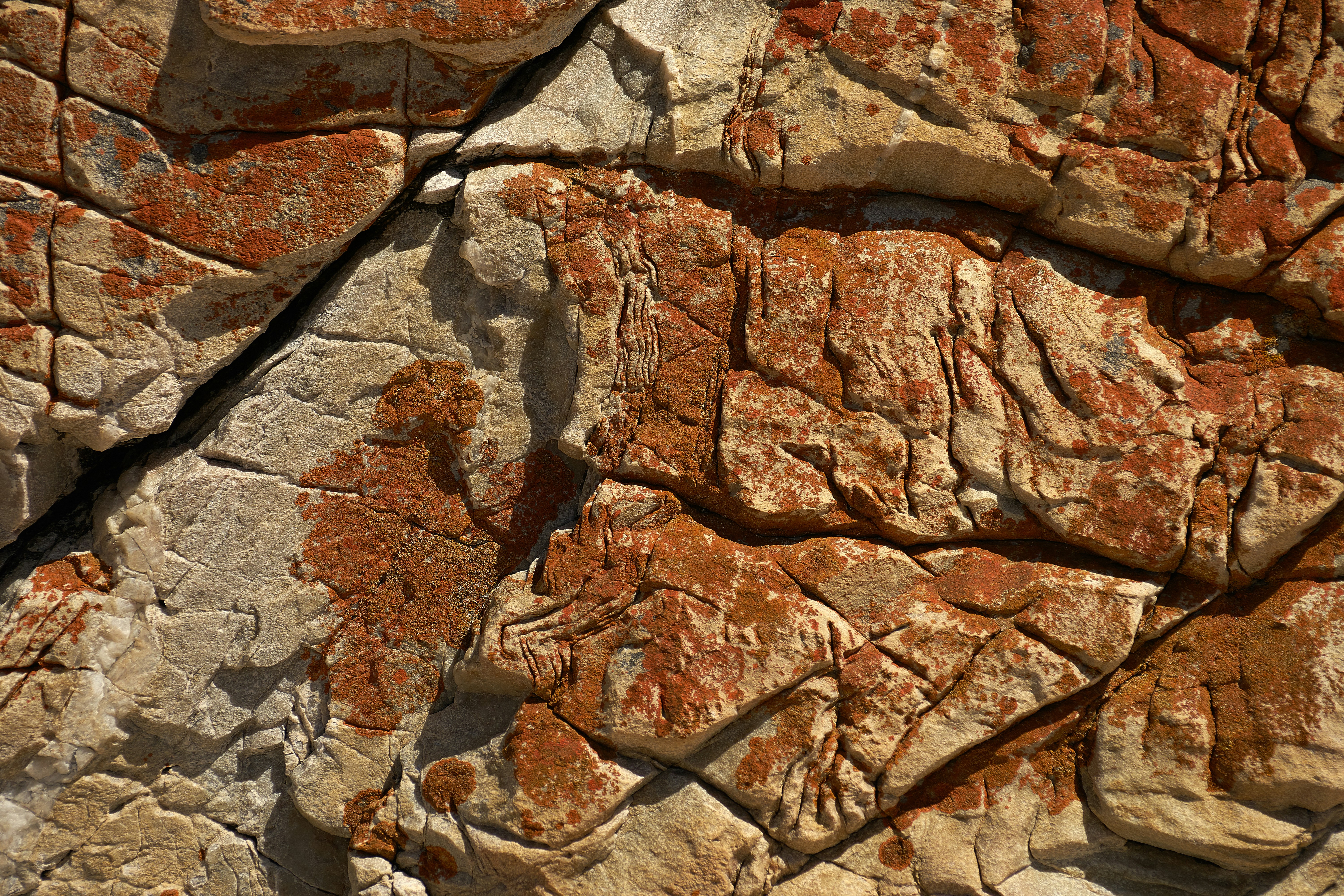 nature pattern lichen and stone 