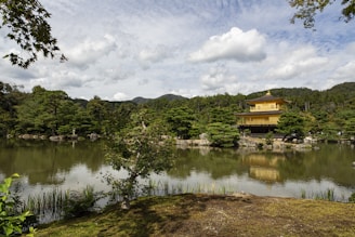 Golden sunlight reflecting off the shimmering Kinkaku-ji temple pond surrounded by lush greenery.