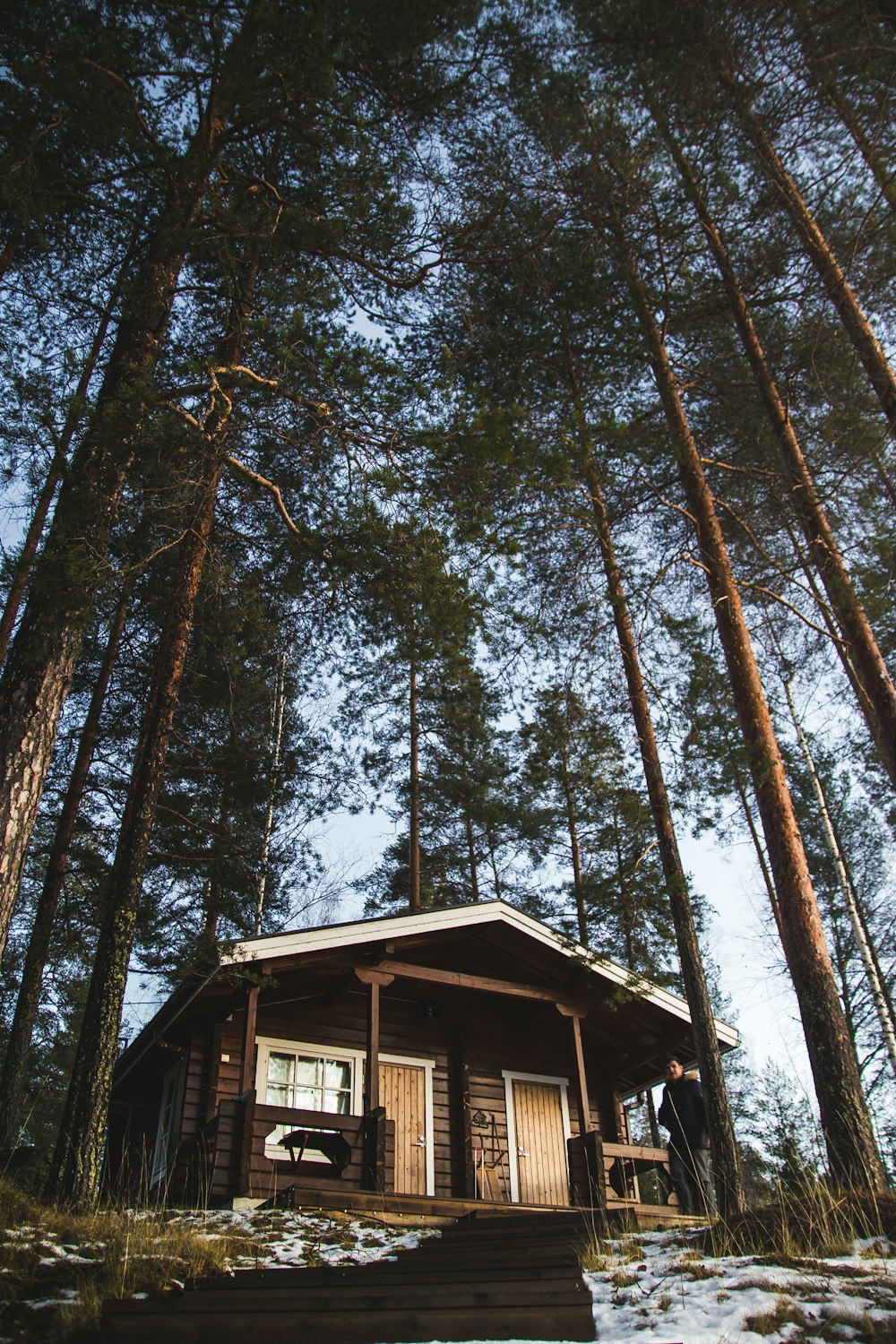 low angle photography of brown wooden house in middle on trees during daytime