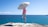 person holding umbrella during daytime