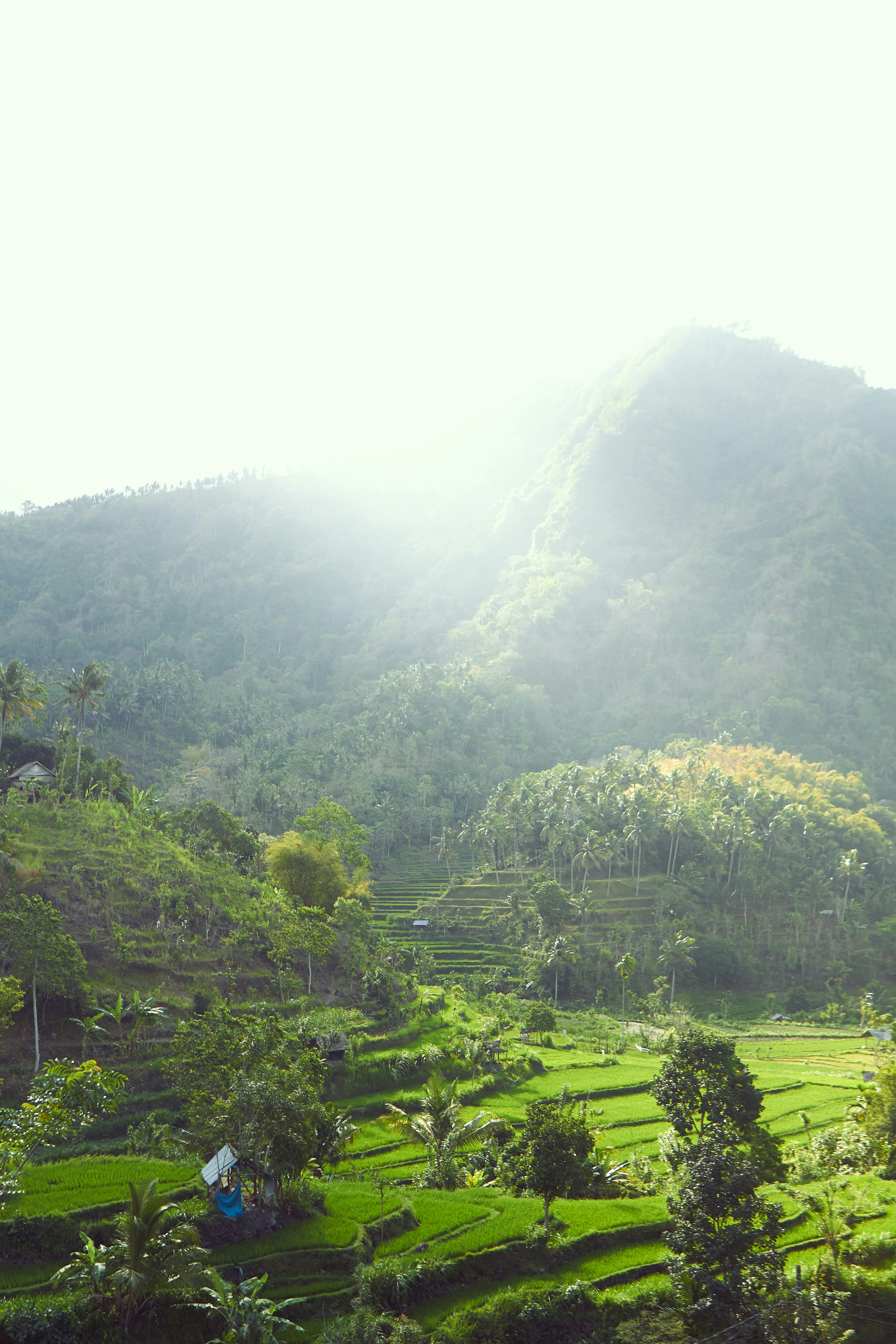 Photo by gstravinsky