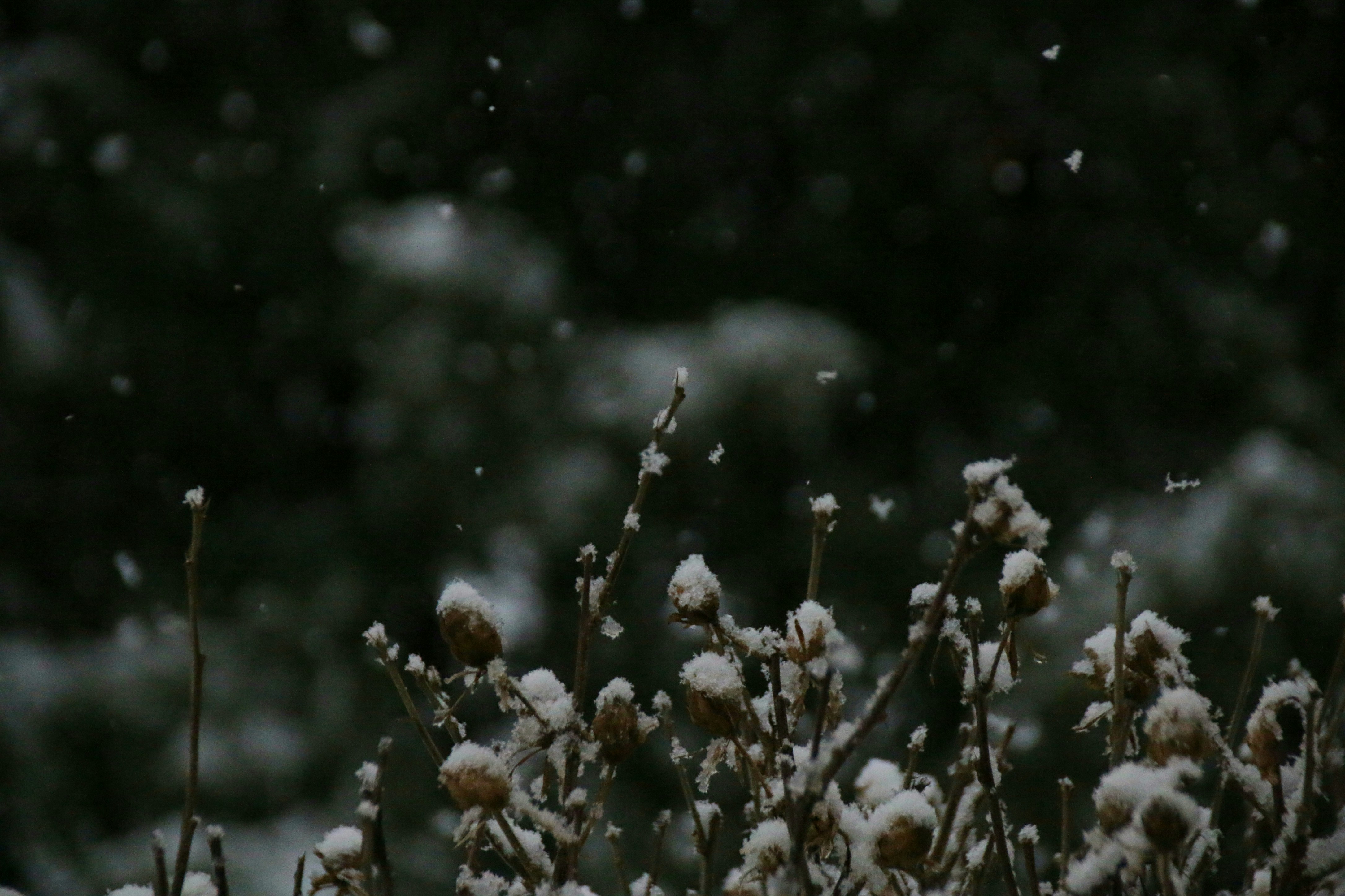 Photo by richardworks