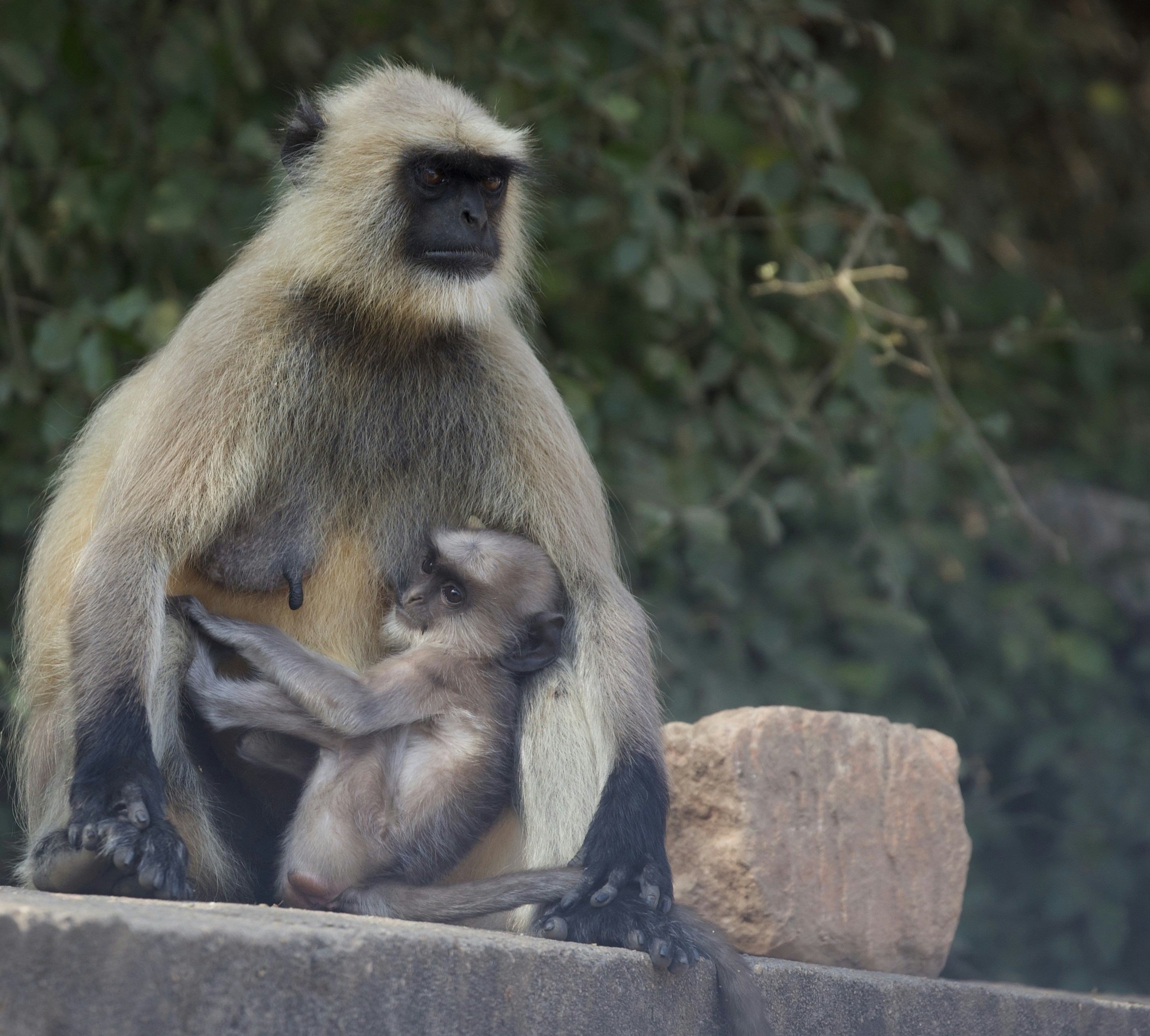 Photo by lakshmimn68