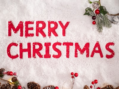red merry christmas text overlay mistletoe zoom background