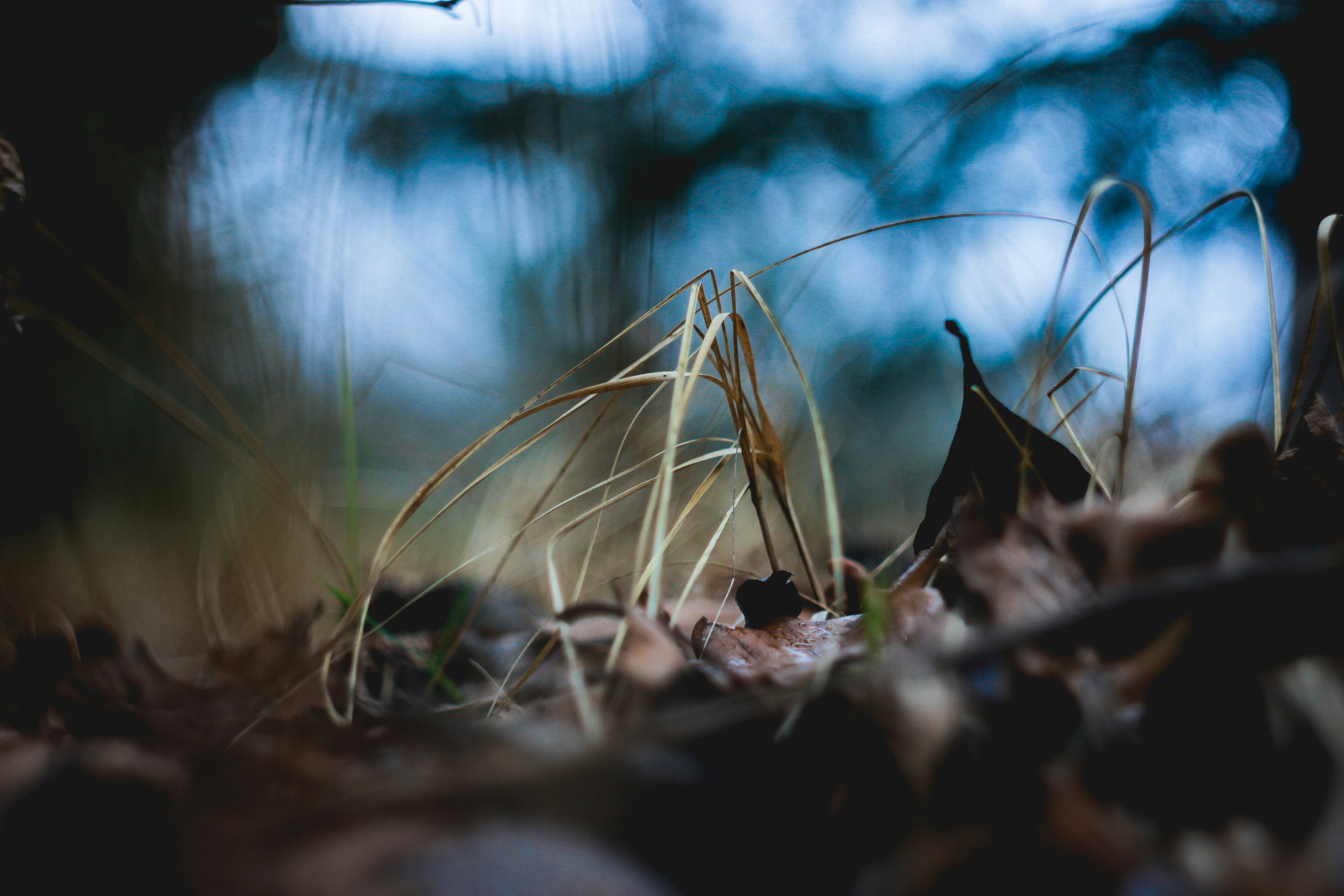 Photo by hls44