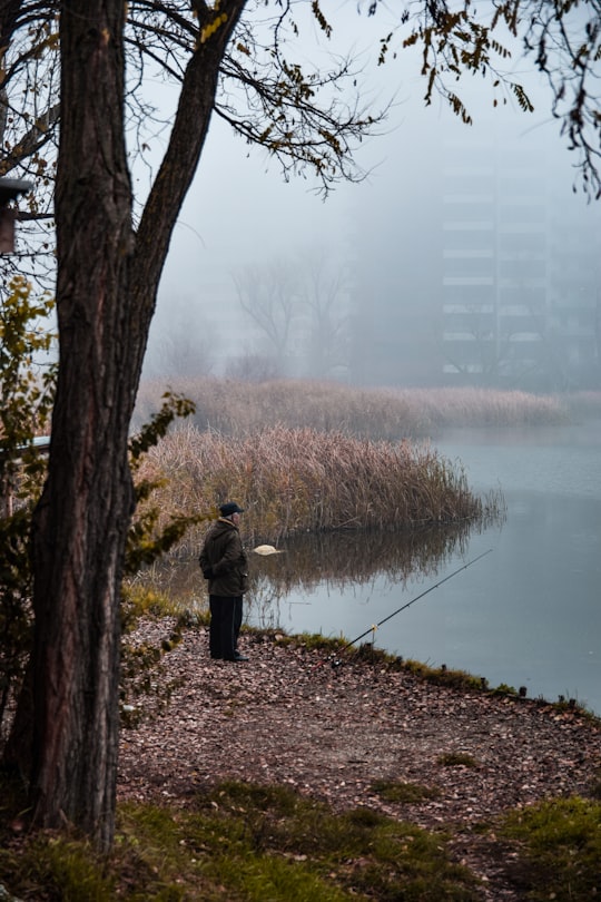 man standing near river beside tree in Cluj-Napoca Romania