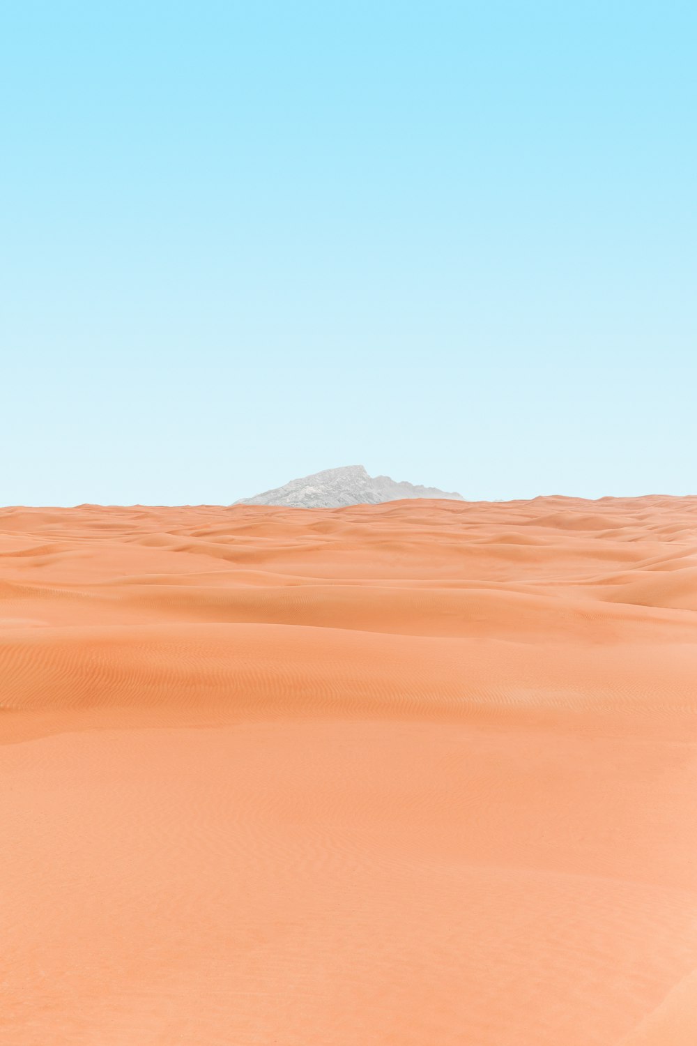 낮 동안의 갈색 사막