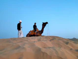 man riding on camel at daytime