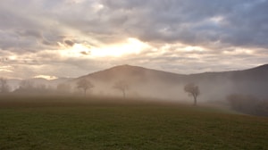 Hilltop Plot