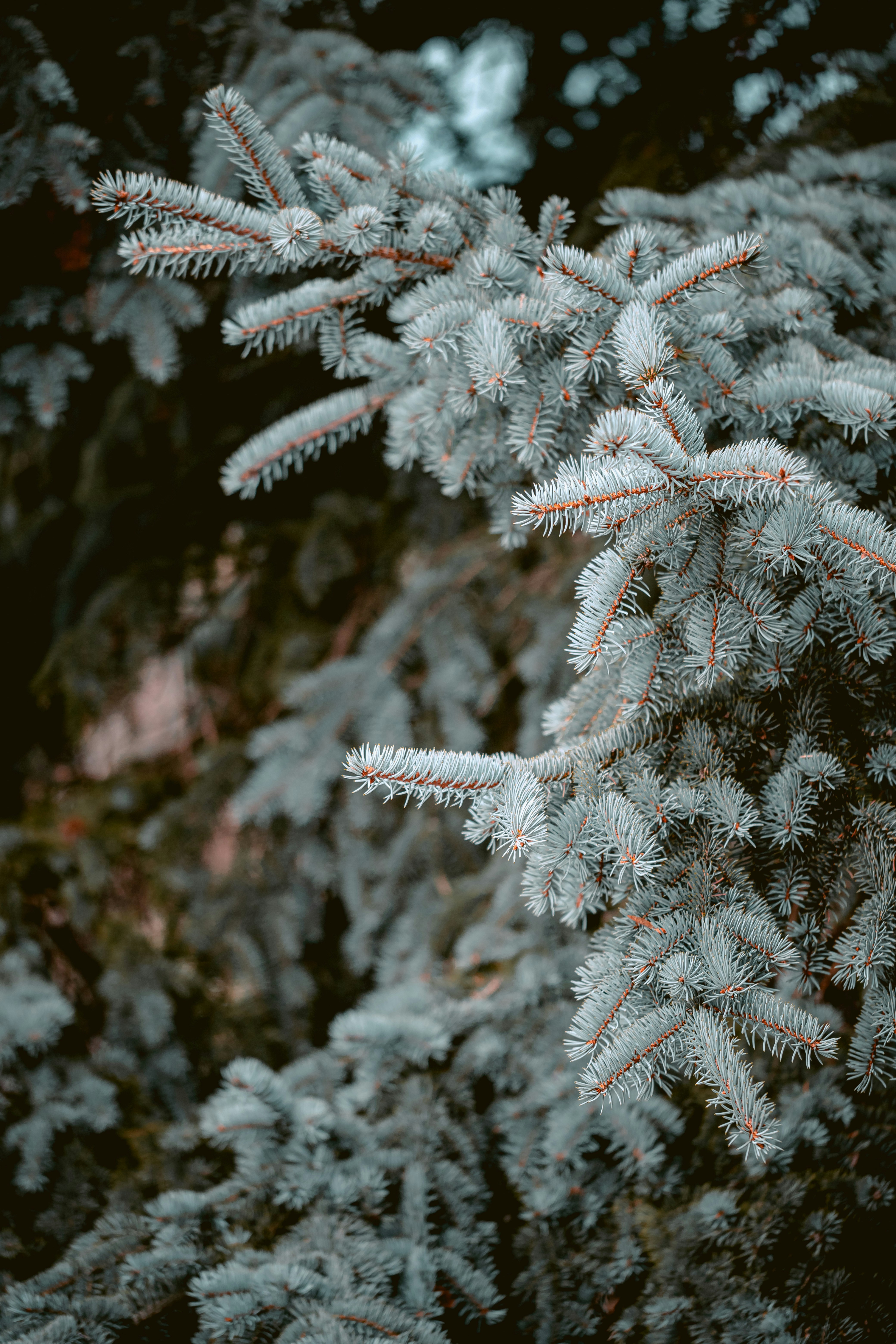 Photo by niklas_hamann