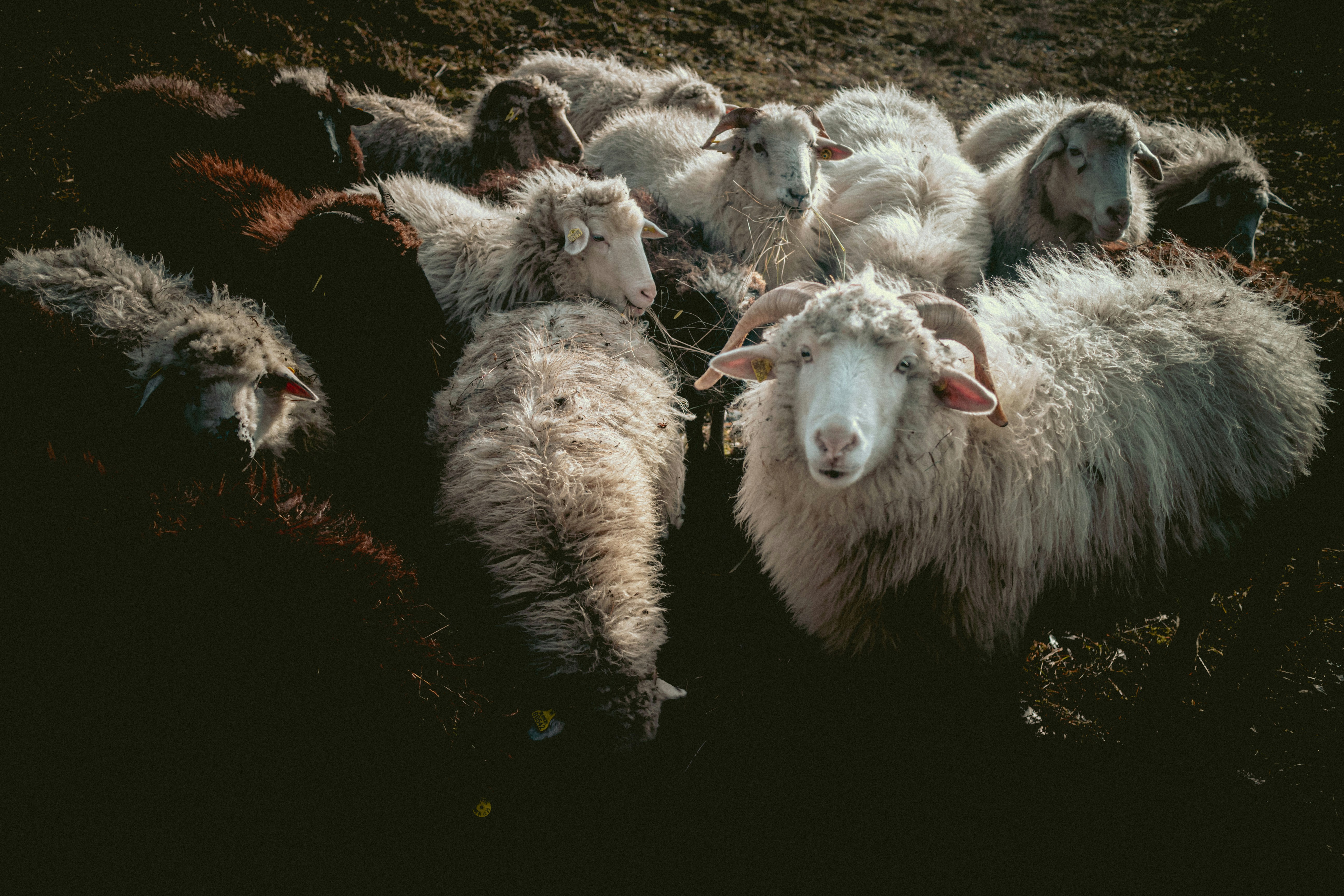 Photo by niklas_hamann