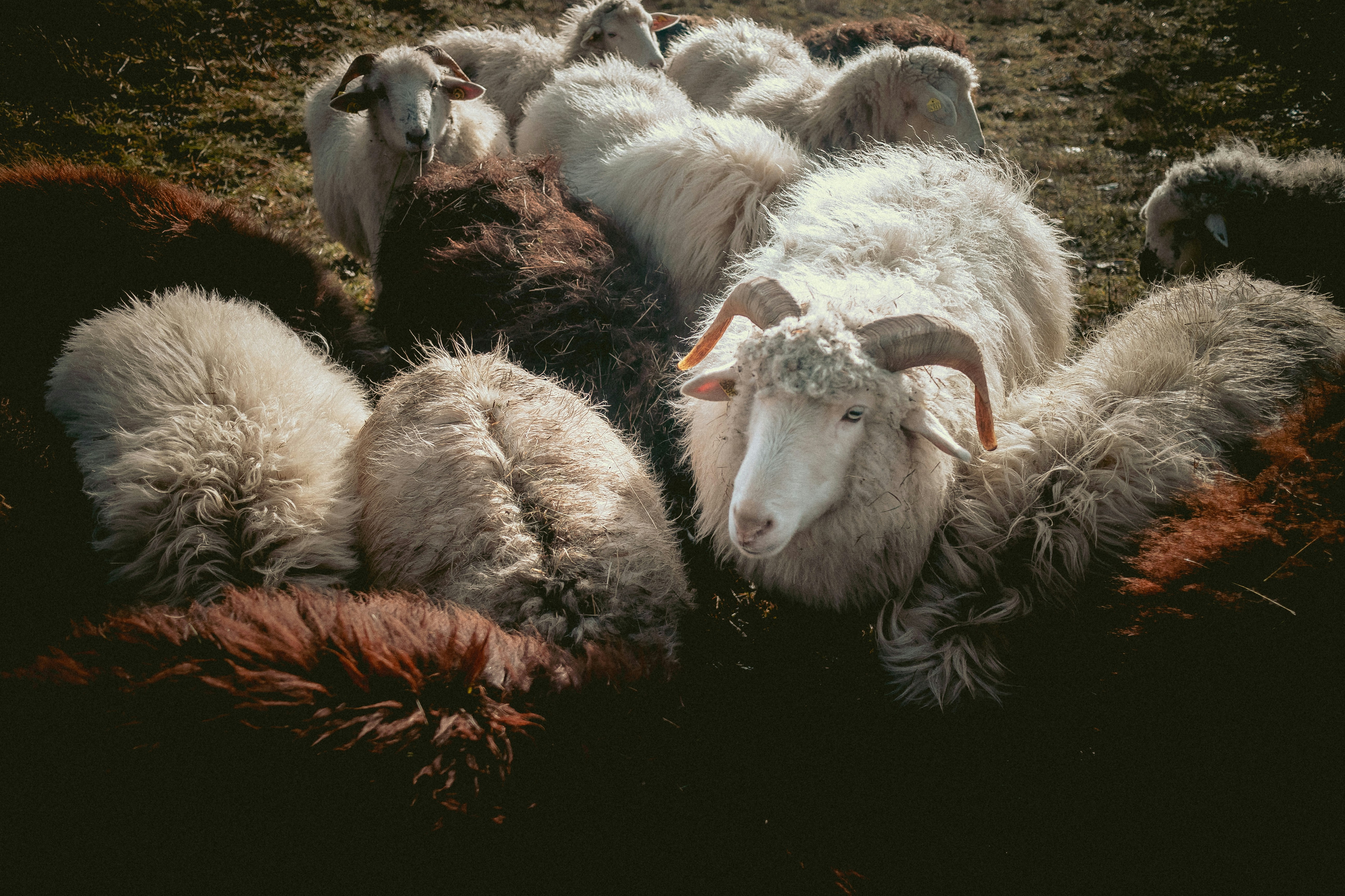 Photo by niklas_hamann