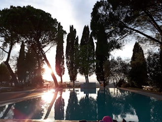Outdoor pool surrounded by pine trees with mist rising in the early morning.