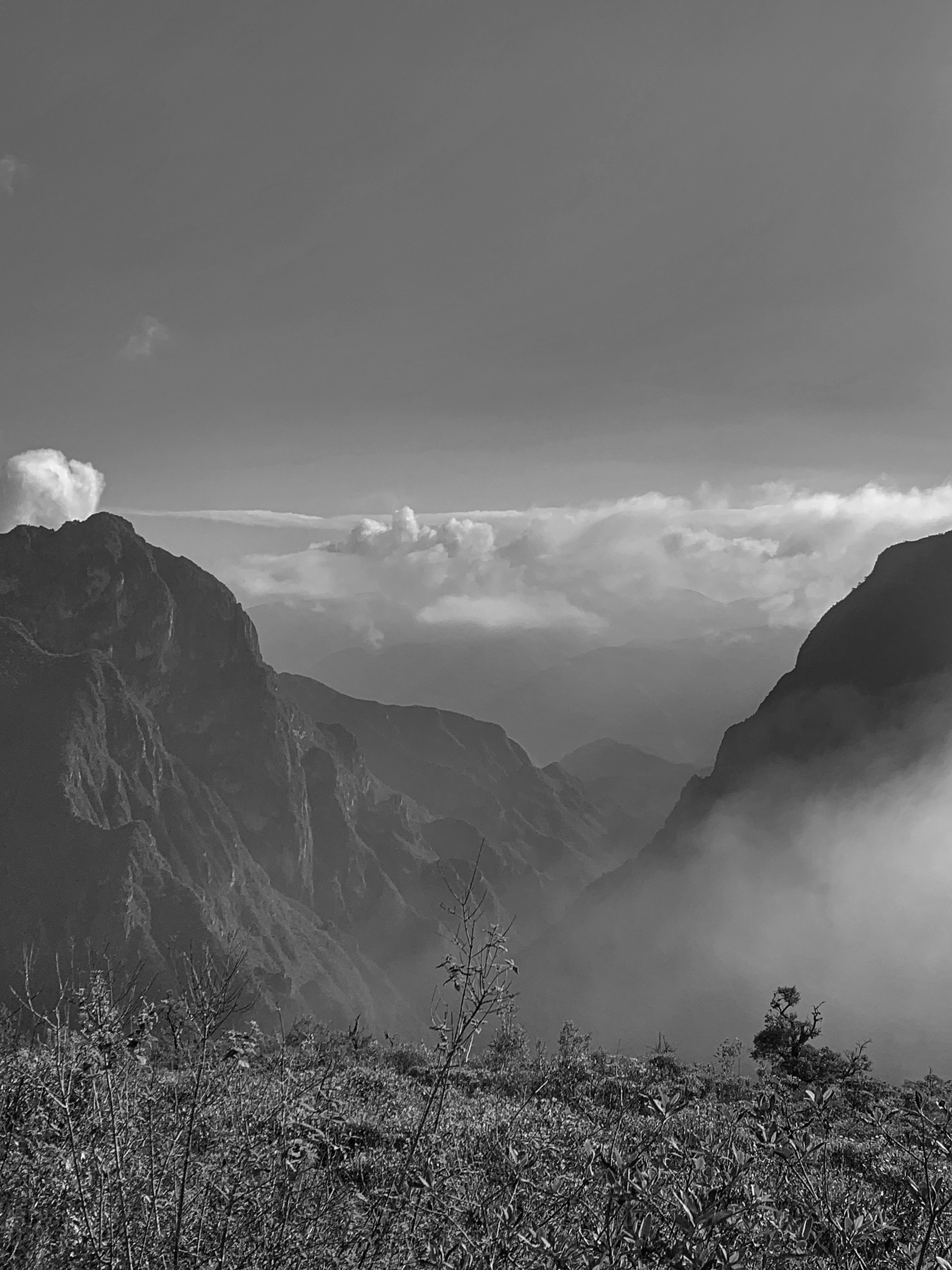 Photo by adan1morales