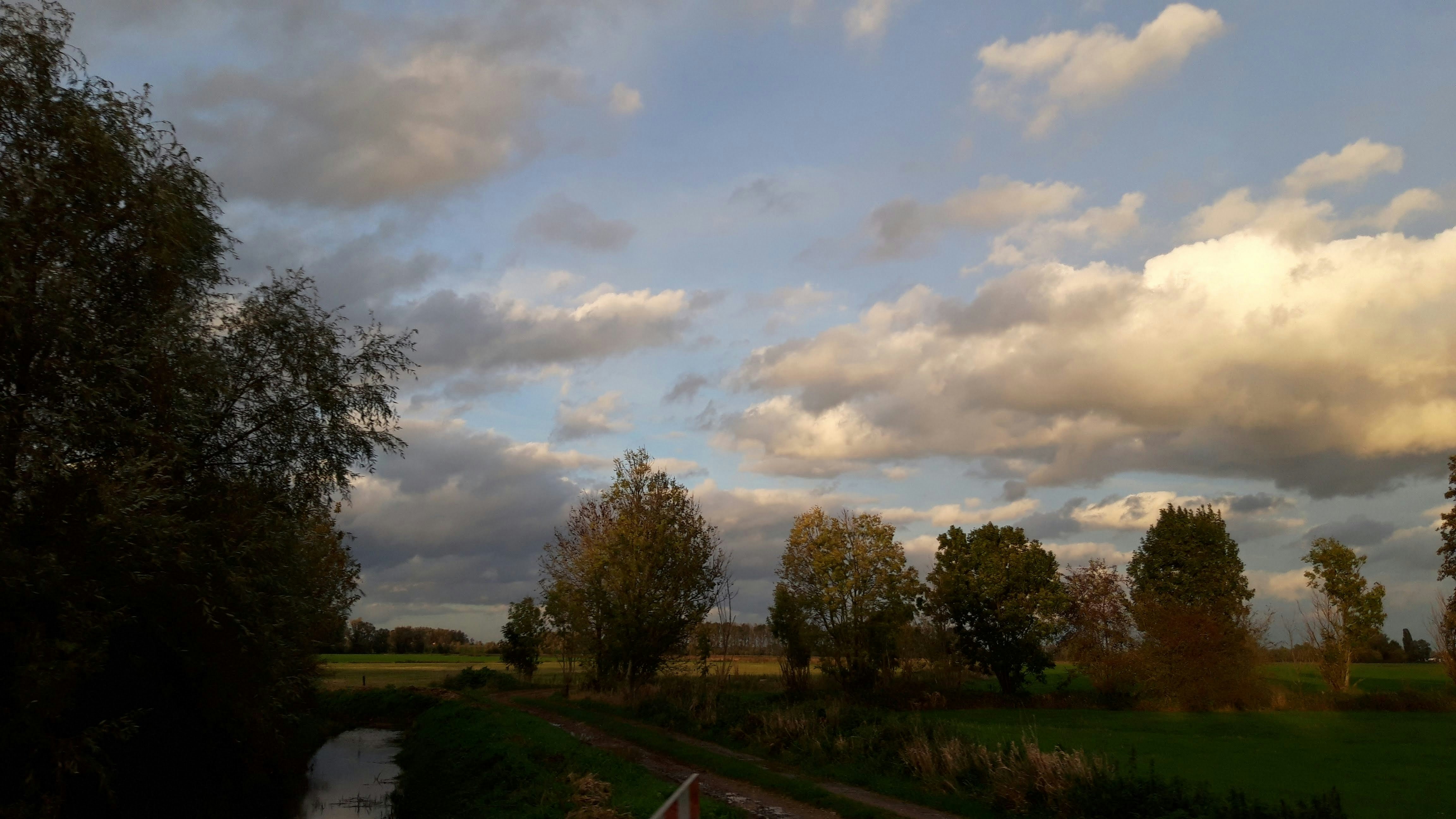 Photo by evaschaap