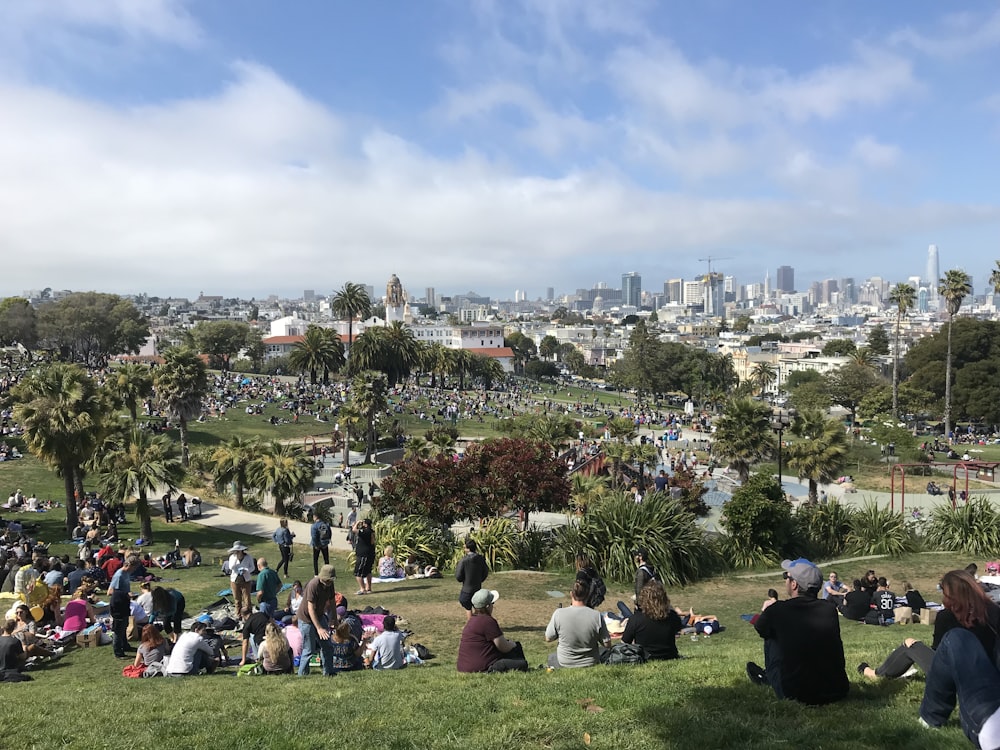 people doing picnic on the park