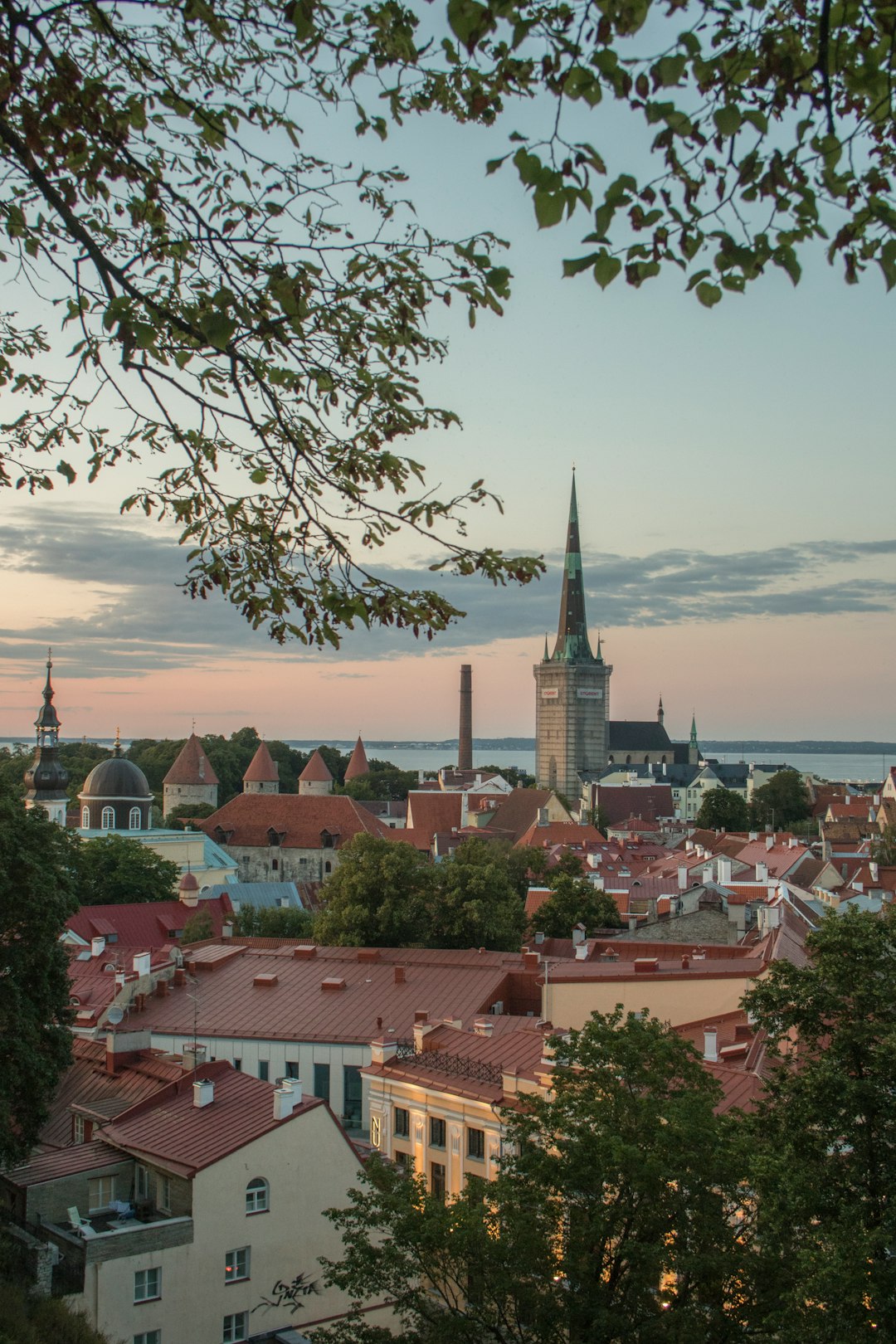 Town photo spot Tallinn Kohtuotsa Viewing platform