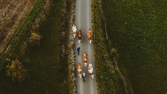 high angle photo of people riding bicycle in Livezi Ciuc Romania