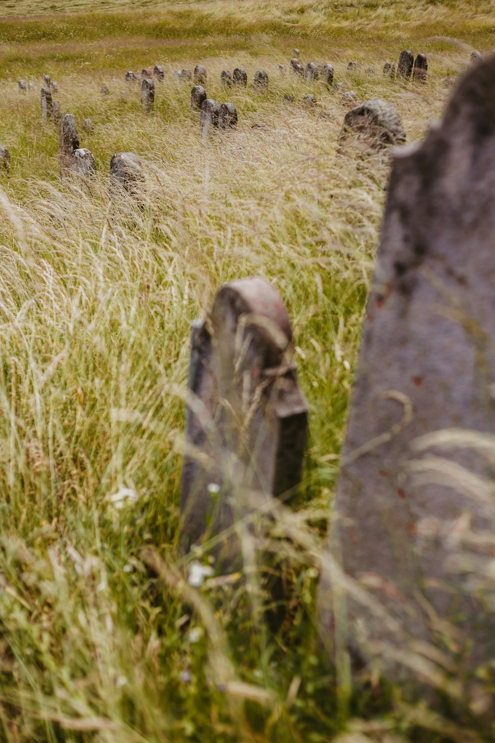 gray tombstones during daytime