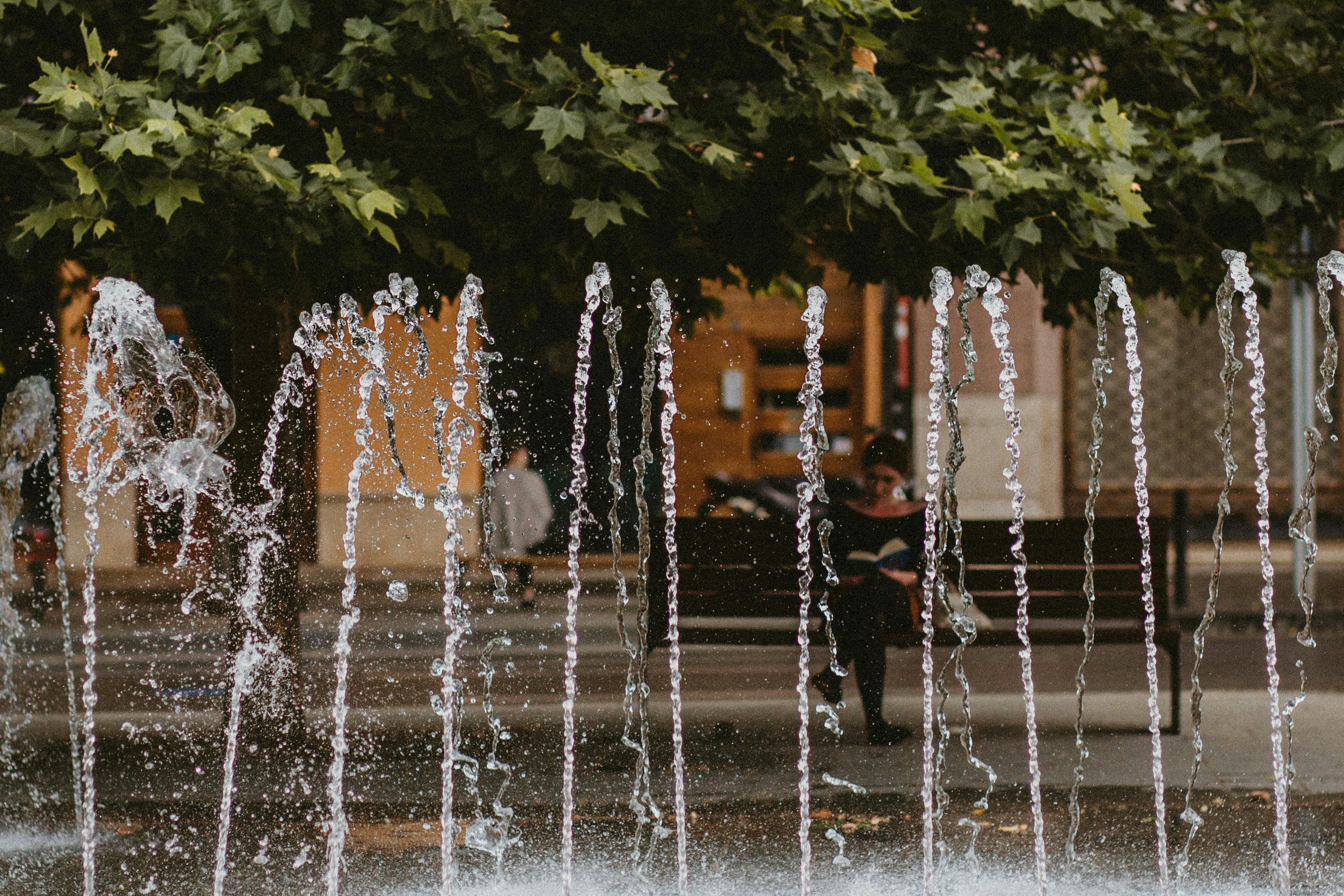 Photo by sandorlucas