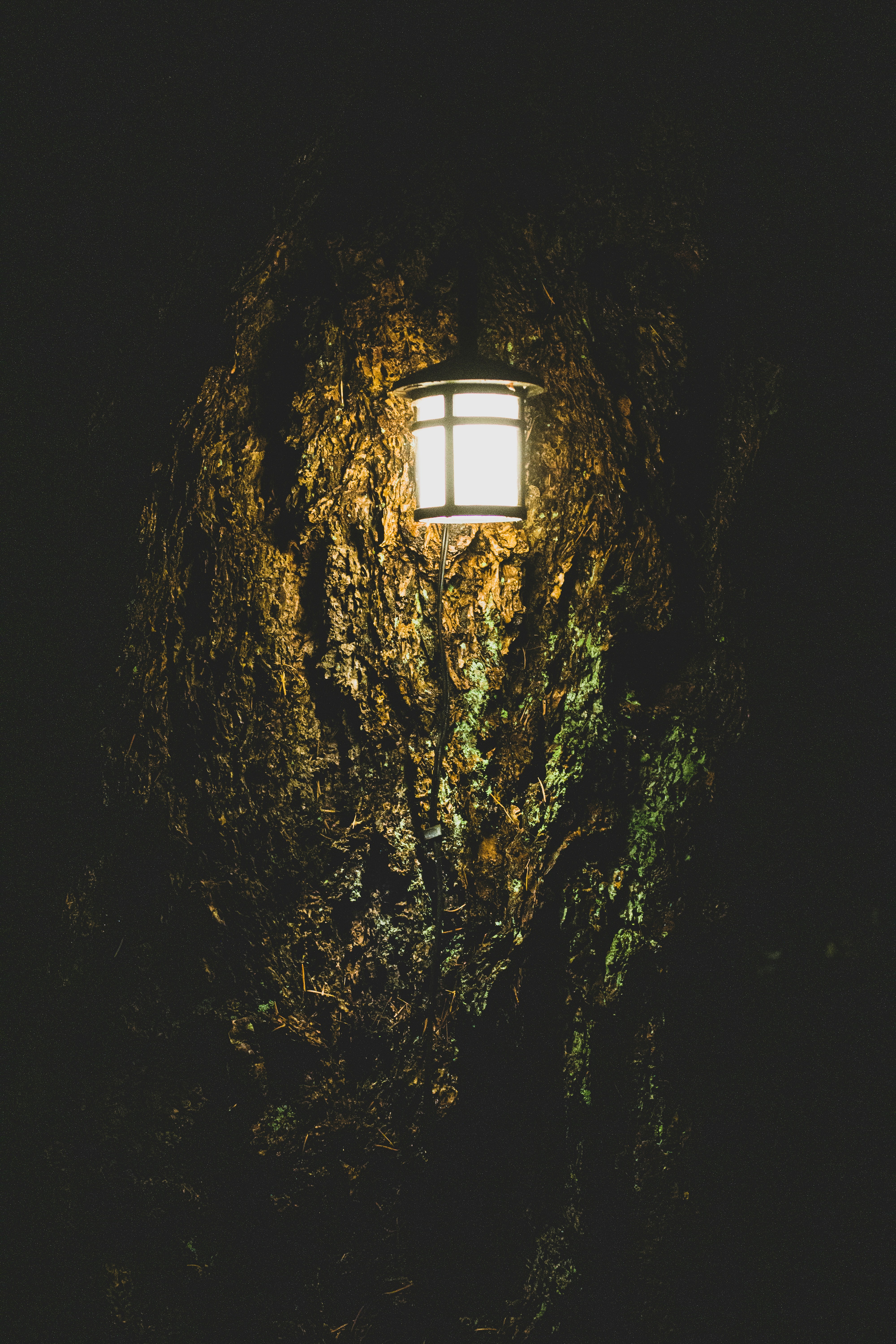 Photo by jaspergarrattphotography