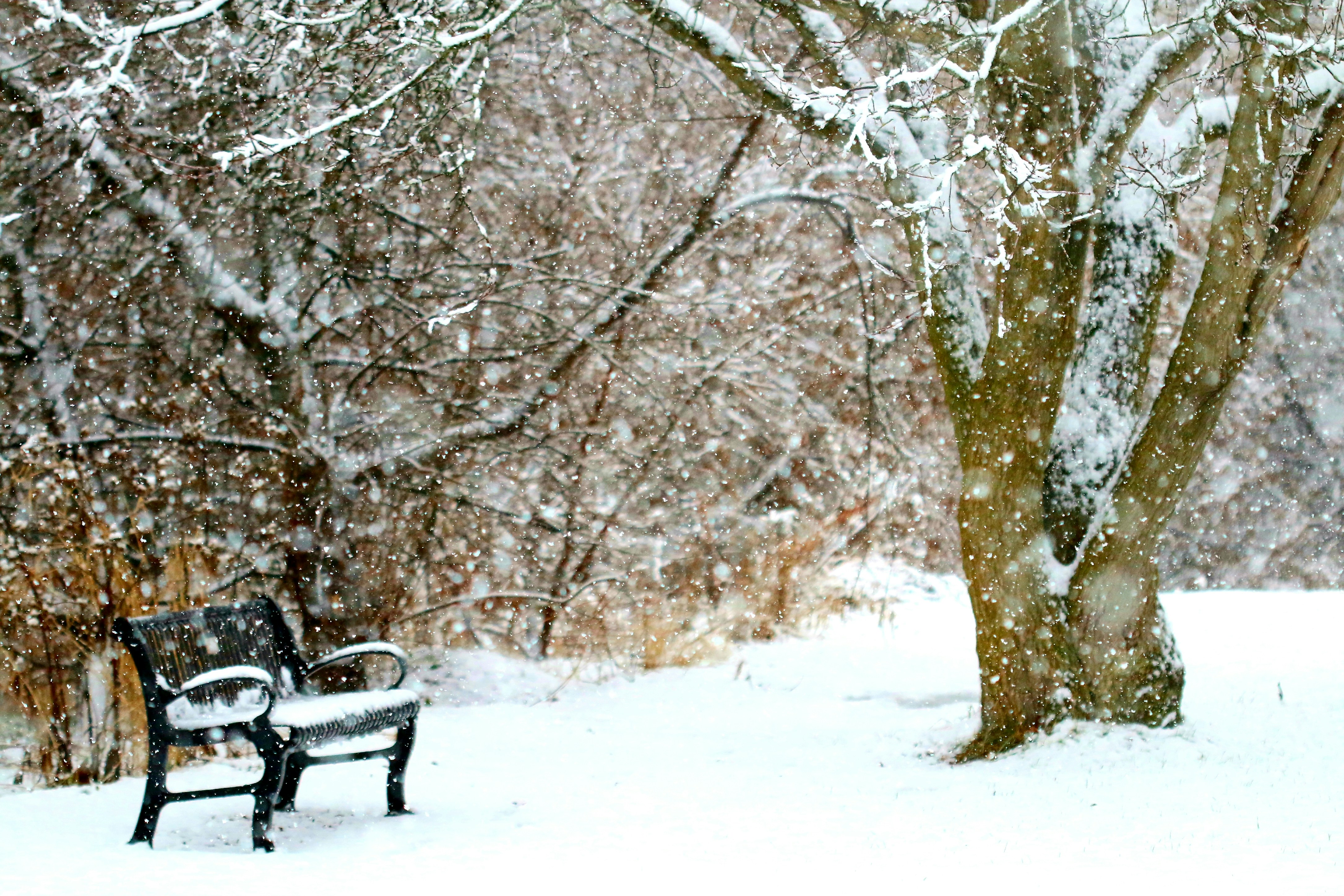 Photo by richardworks