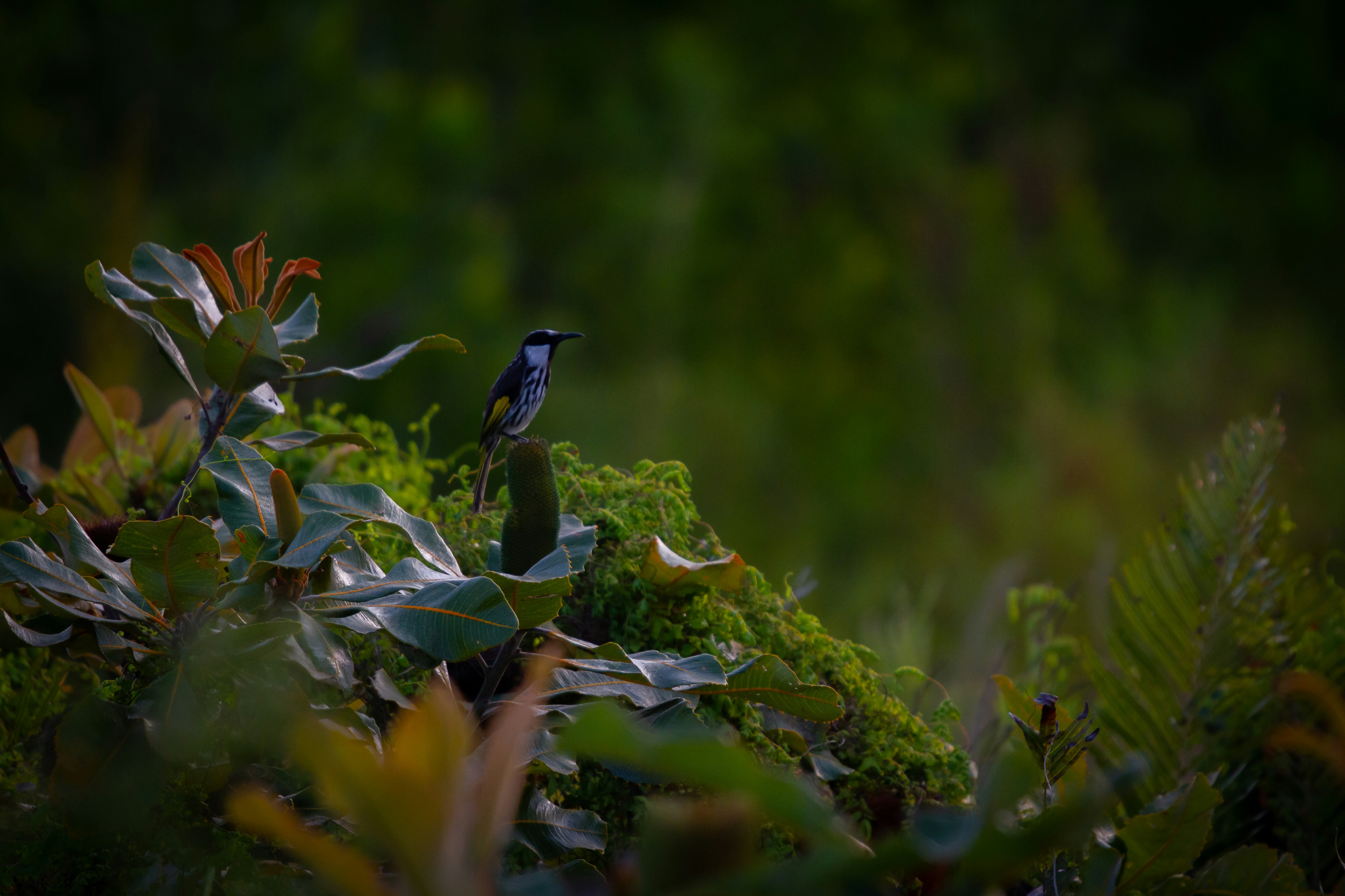 Photo by thomasmcphersonphotography