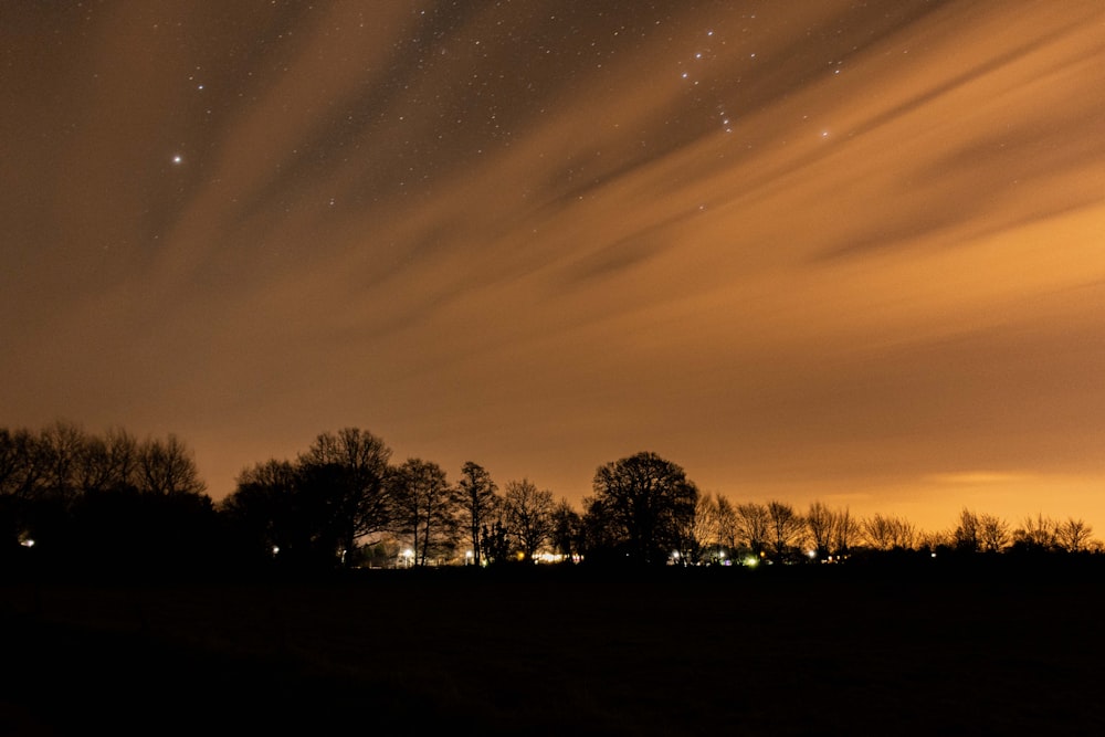 silhouette photography of trees and stars during nighttime