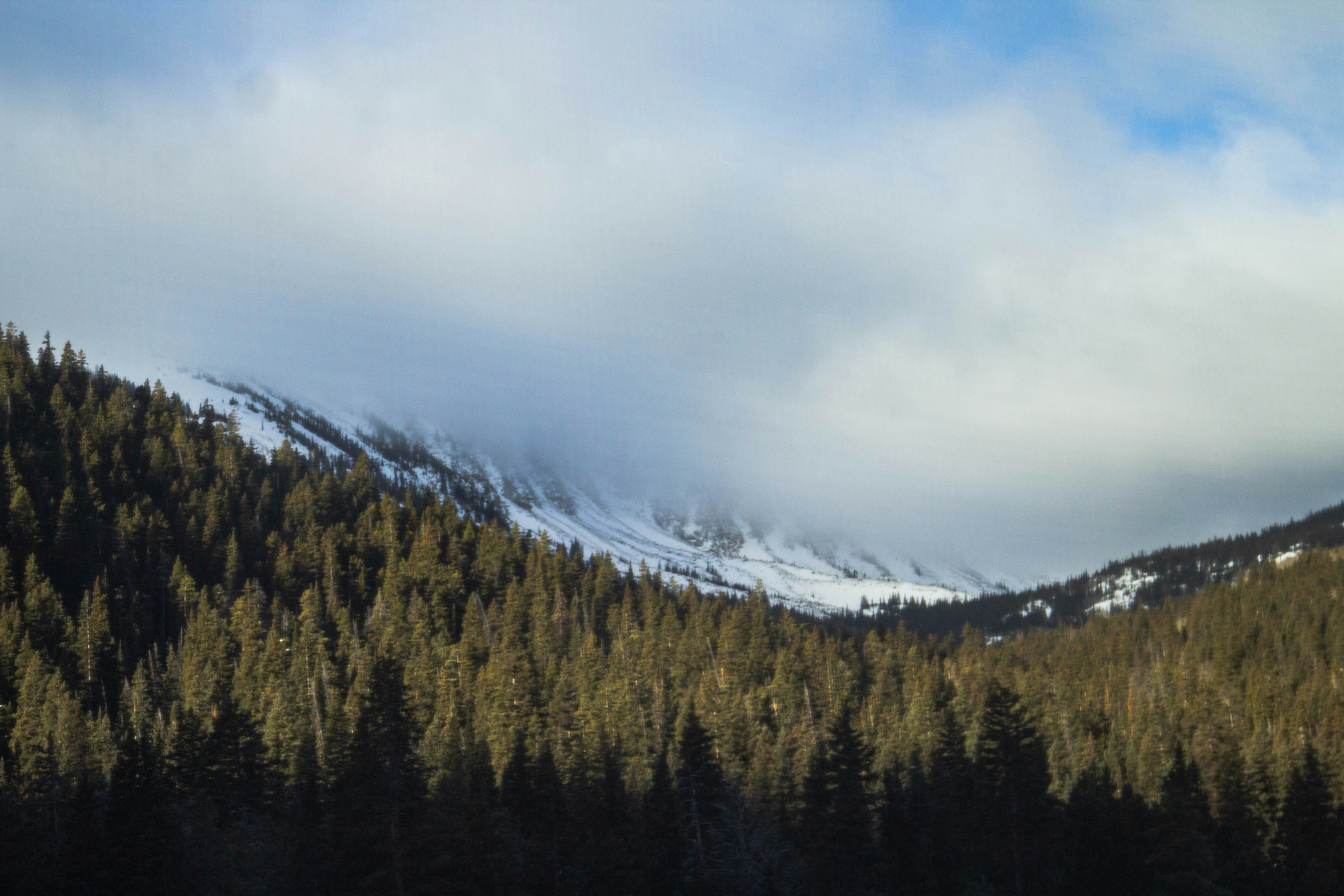 Photo by mason_hassoun