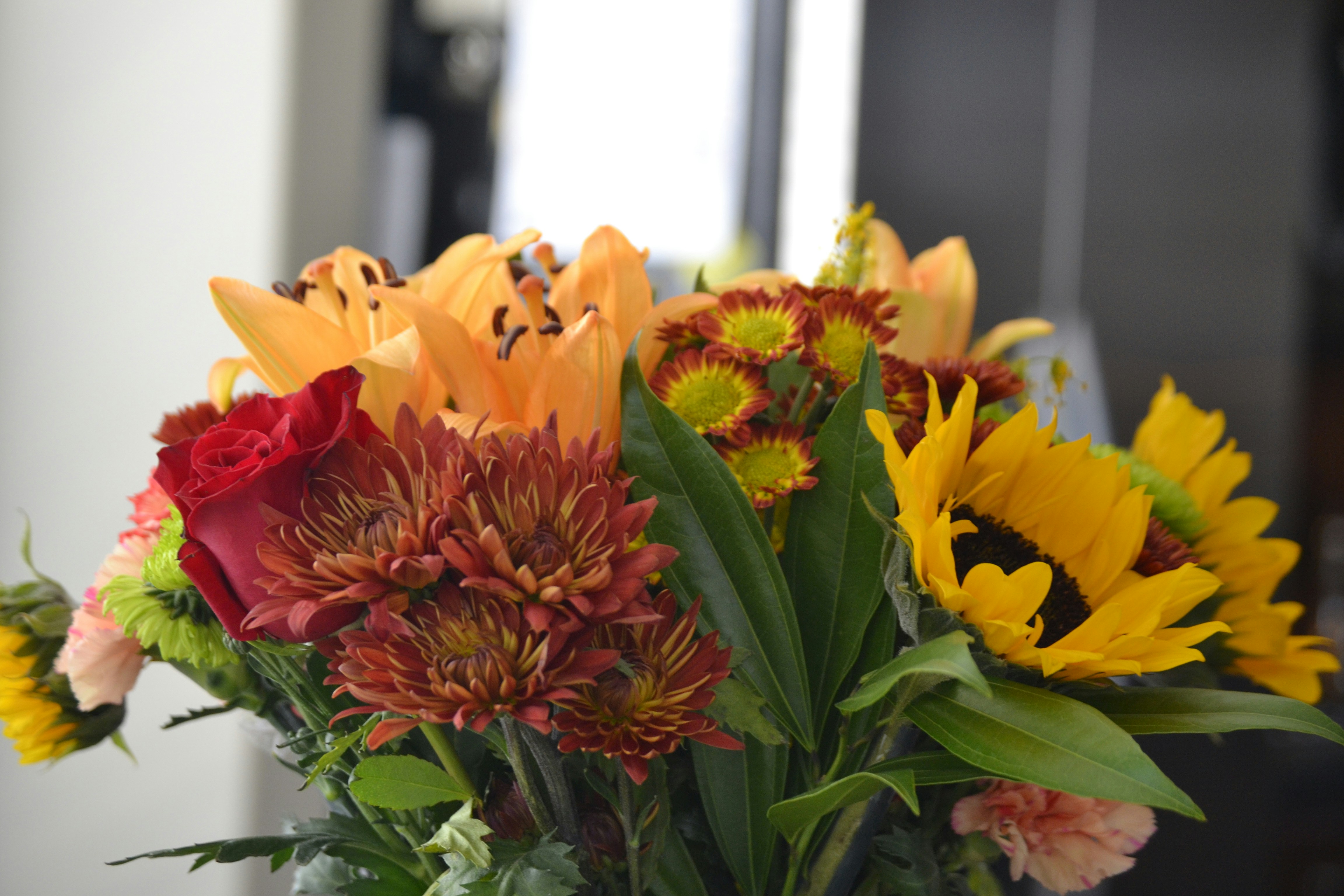 Photo by rondonmcjohn