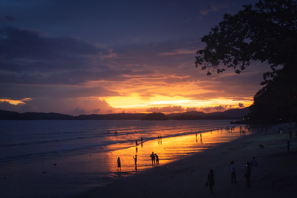 people standing on seashore during golden hour