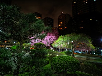 A nighttime urban scene featuring well-lit trees with pink and green foliage in the foreground. The background consists of tall buildings with scattered lit windows, set against a dark sky. The trees and plants are lush and create a vibrant contrast to the surrounding cityscape.