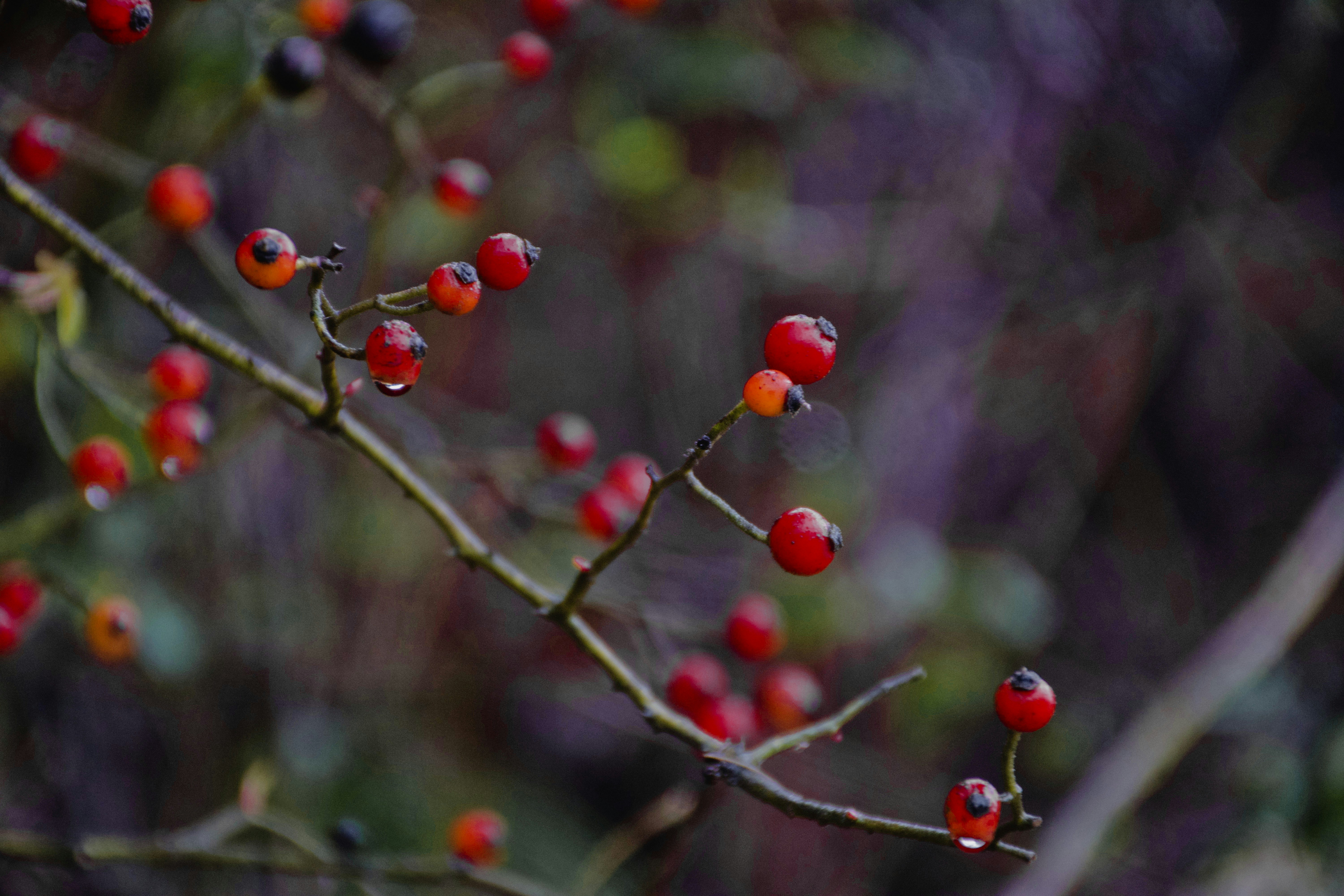 Photo by usaysitisaywhere