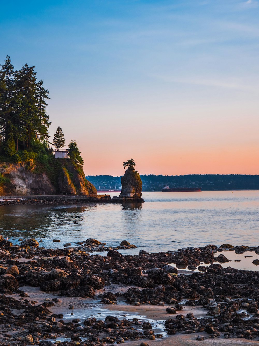 landscape photography of stones in seashore