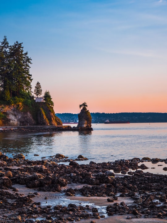 Siwash Rock things to do in Vancouver Harbour