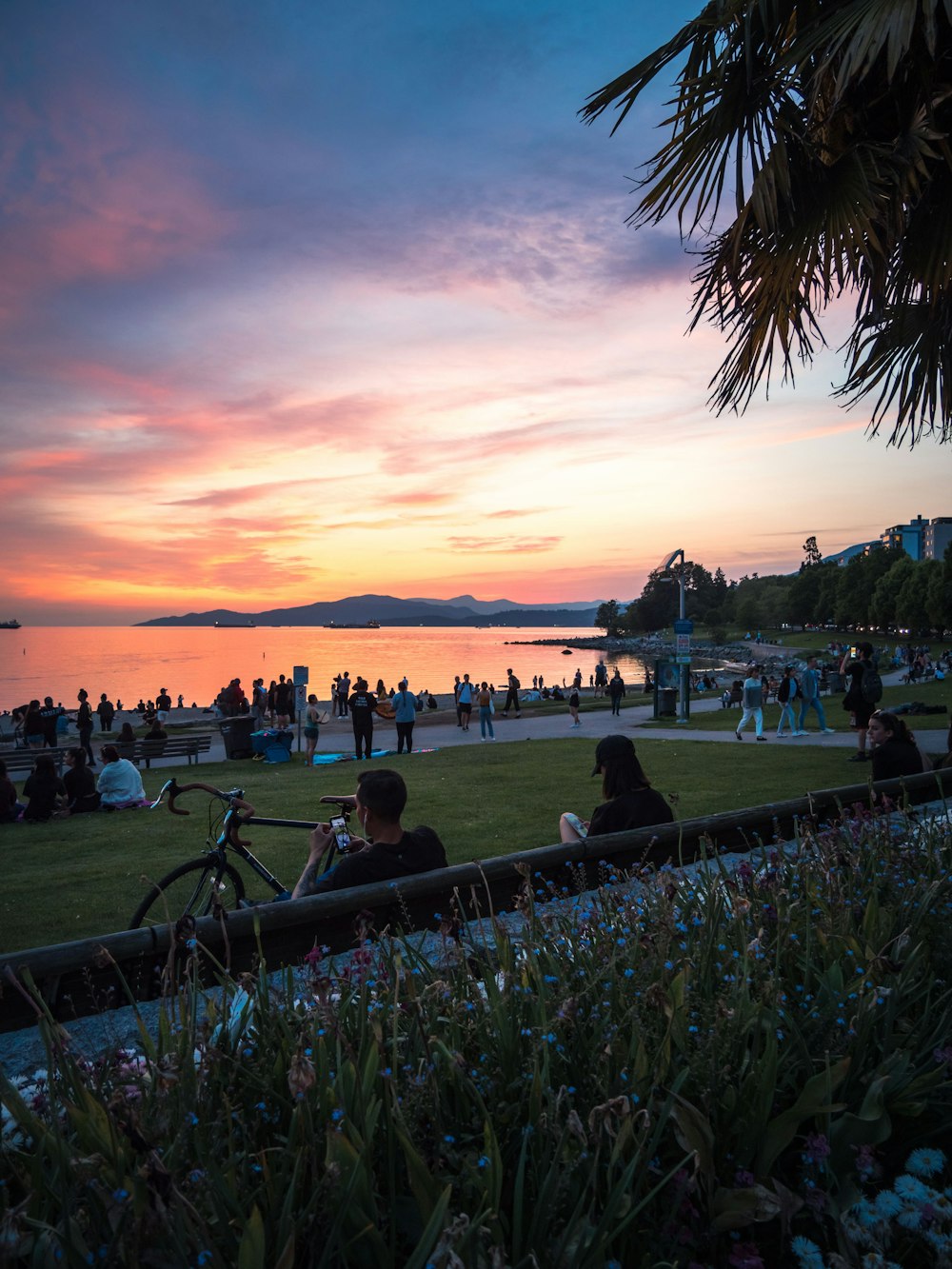 people on park viewing body of water under blue and orange sky